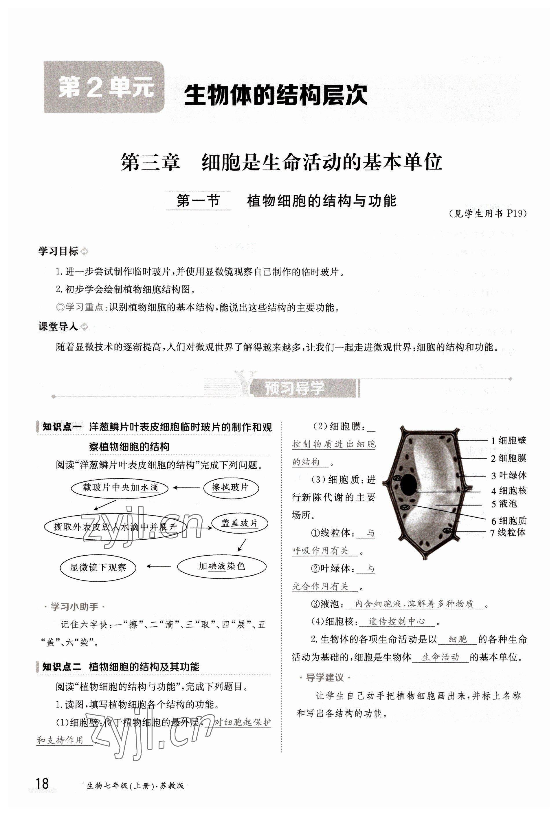 2022年金太阳导学案七年级生物上册苏教版 参考答案第18页