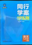 2023年同行学案九年级语文下册人教版