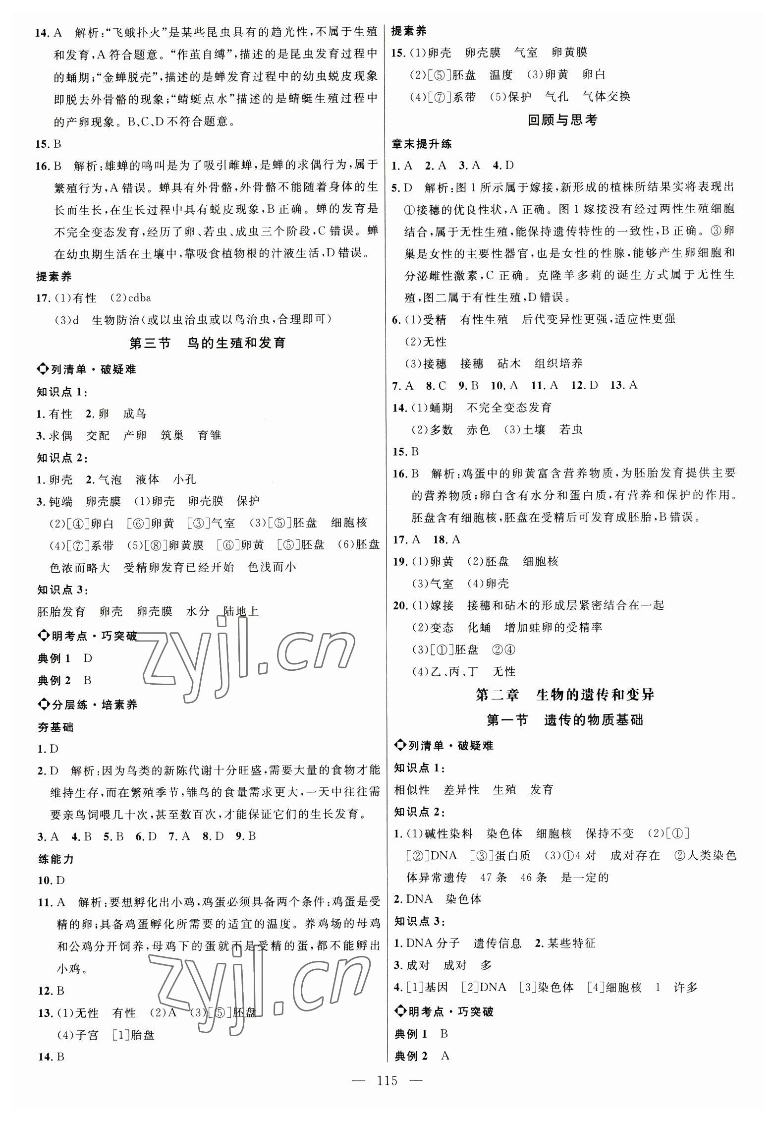 2023年細(xì)解巧練八年級生物下冊魯科版54制 參考答案第2頁