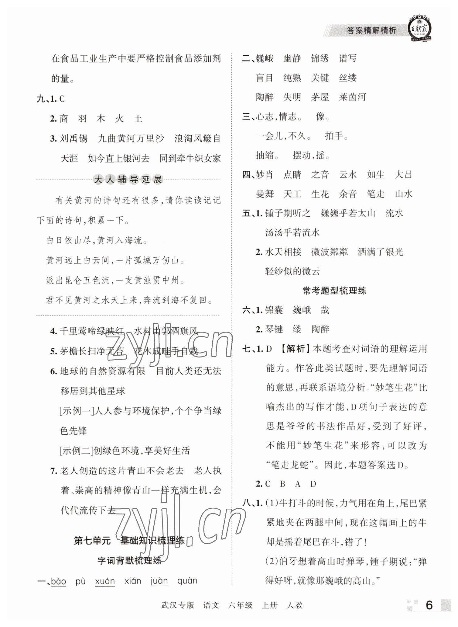 2022年王朝霞期末真题精编六年级语文上册人教版武汉专版 参考答案第6页