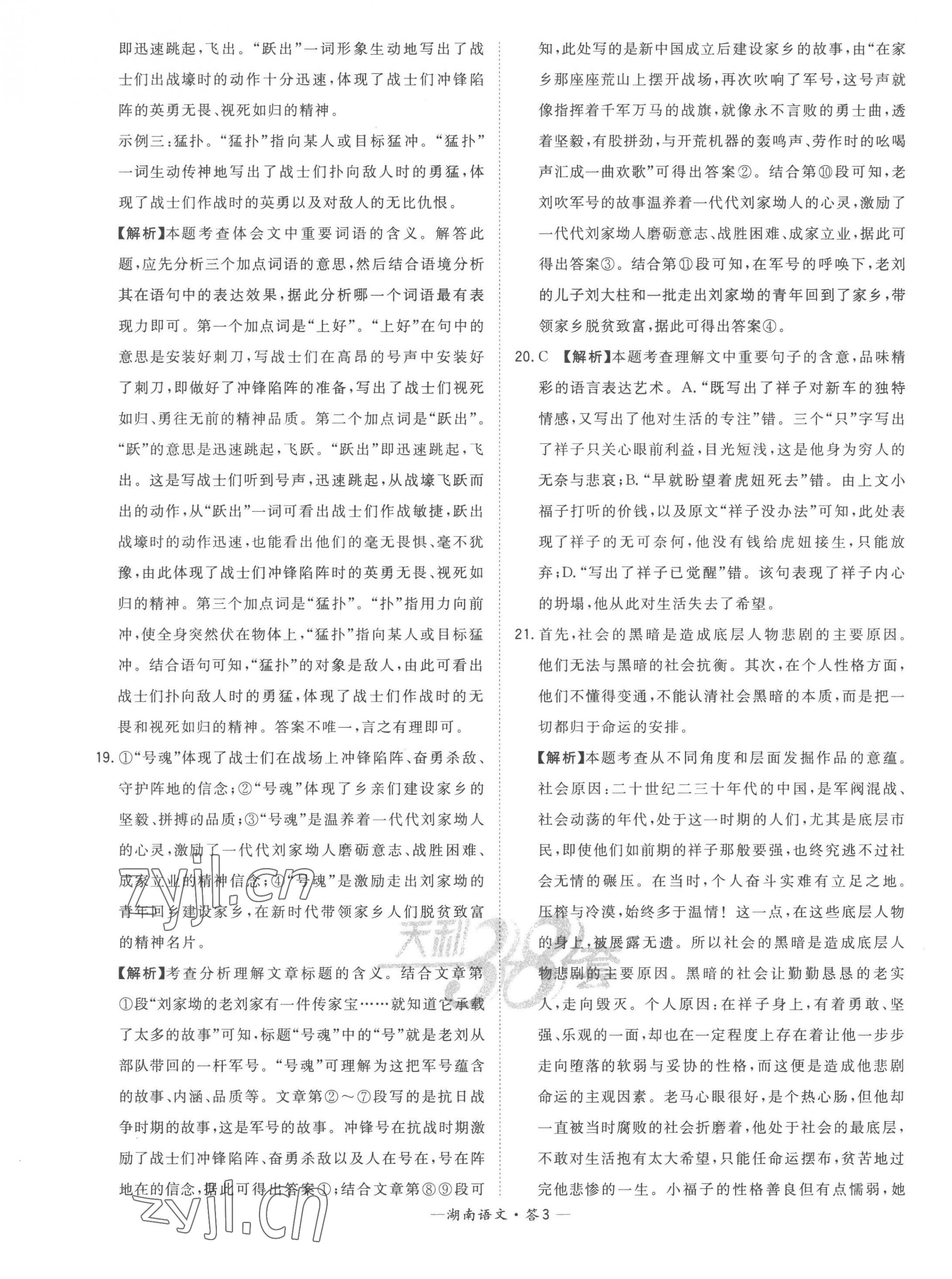 2023年天利38套中考试题精选语文湖南专版 第5页
