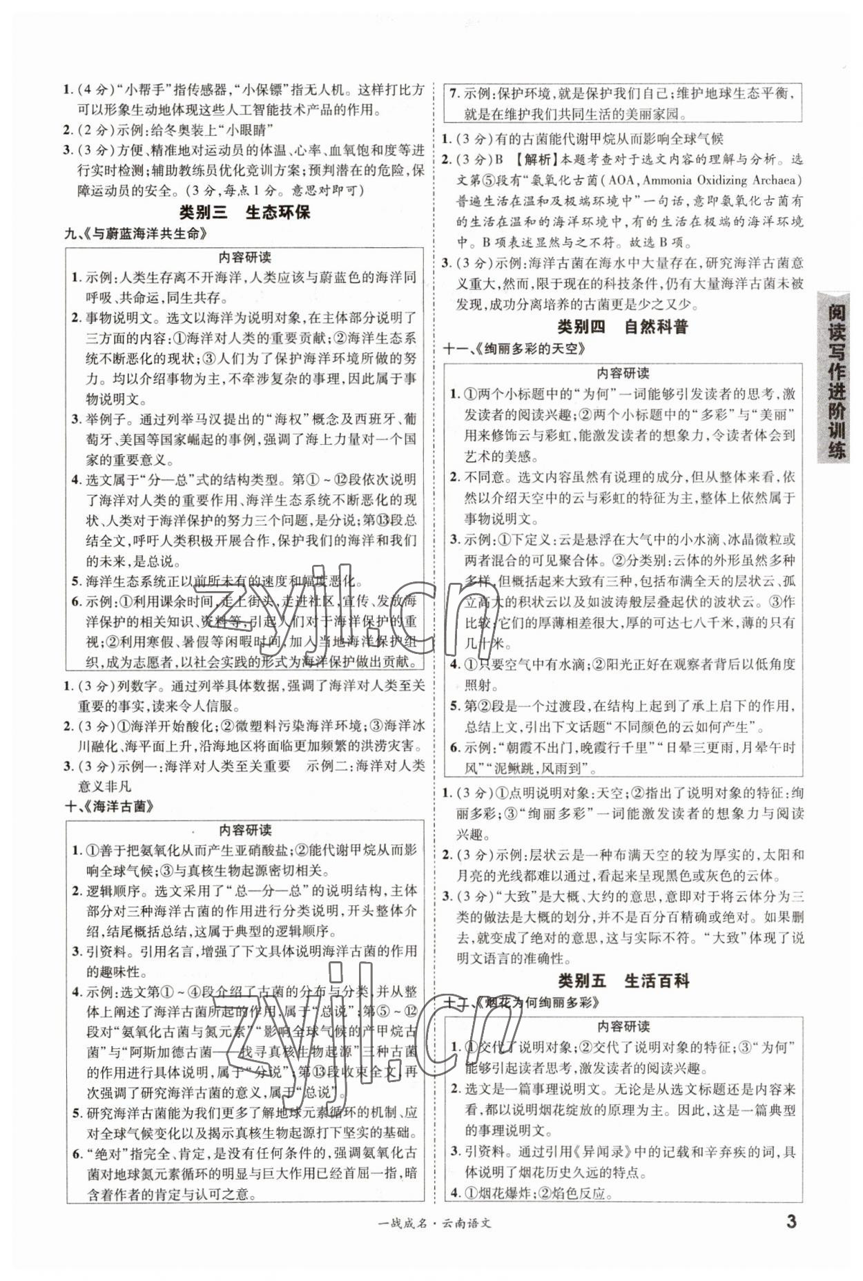 2023年一战成名考前新方案语文中考云南专版 第3页