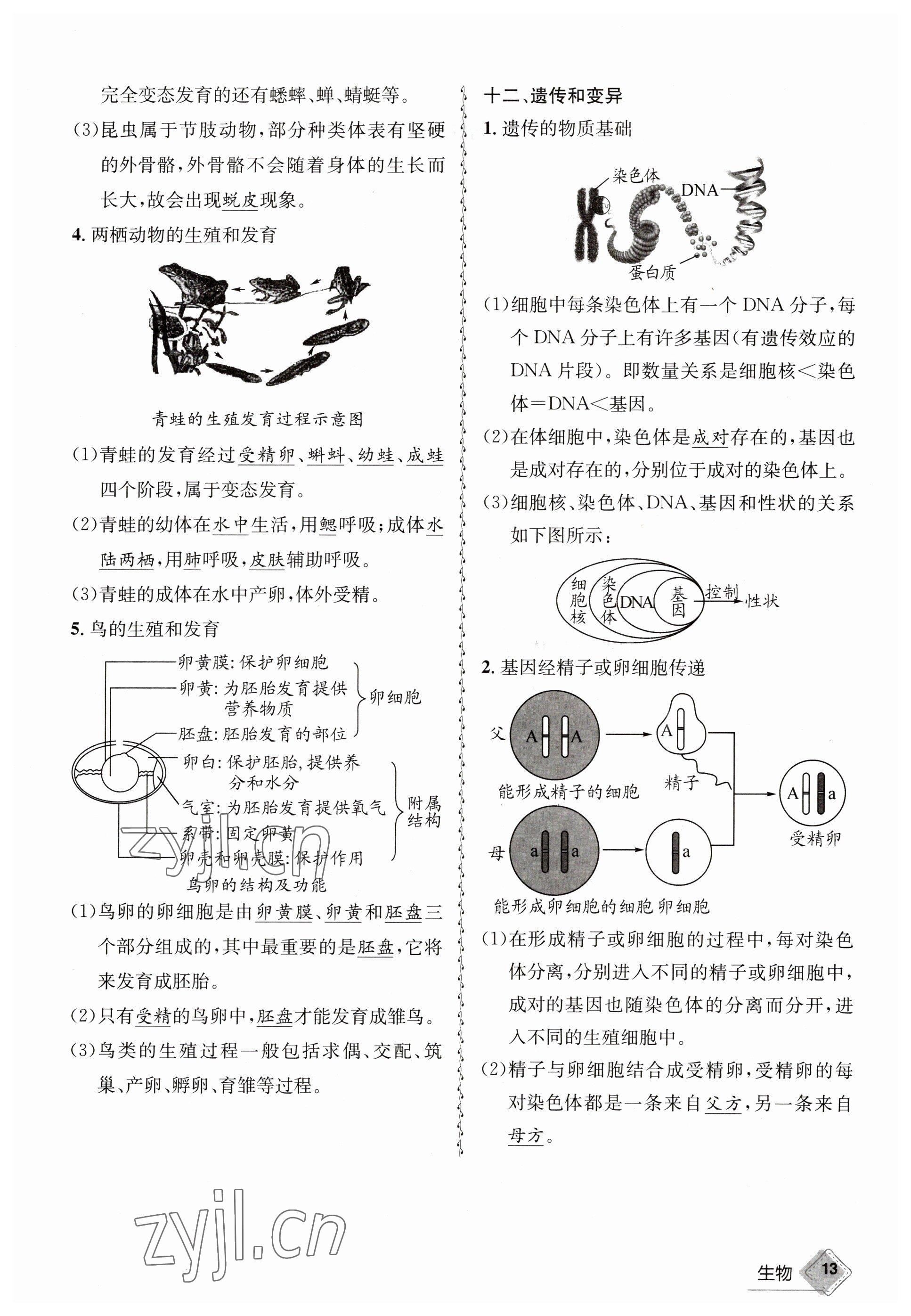 2023年天府教与学中考复习与训练生物 参考答案第13页