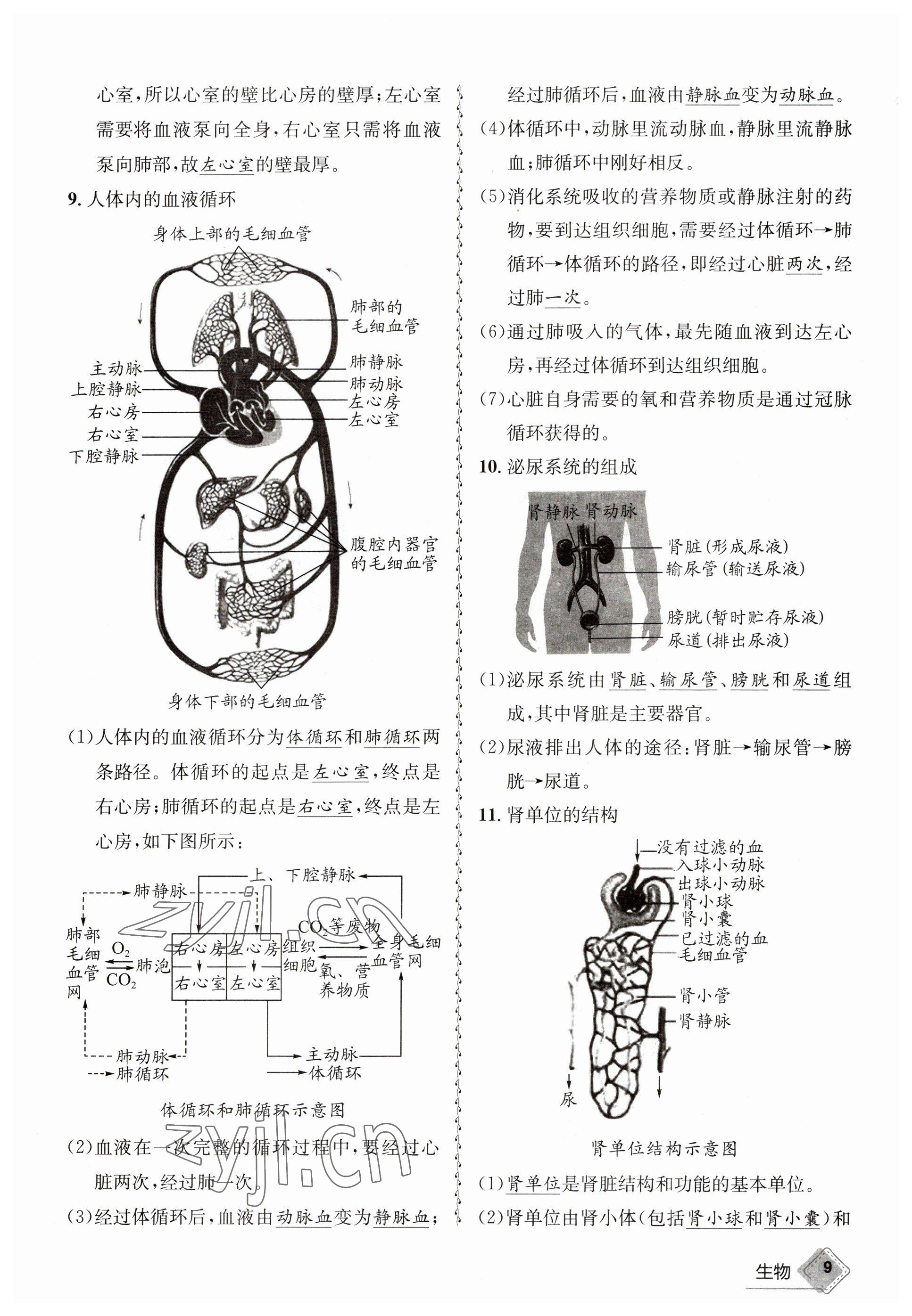 2023年天府教與學中考復(fù)習與訓練生物 參考答案第9頁