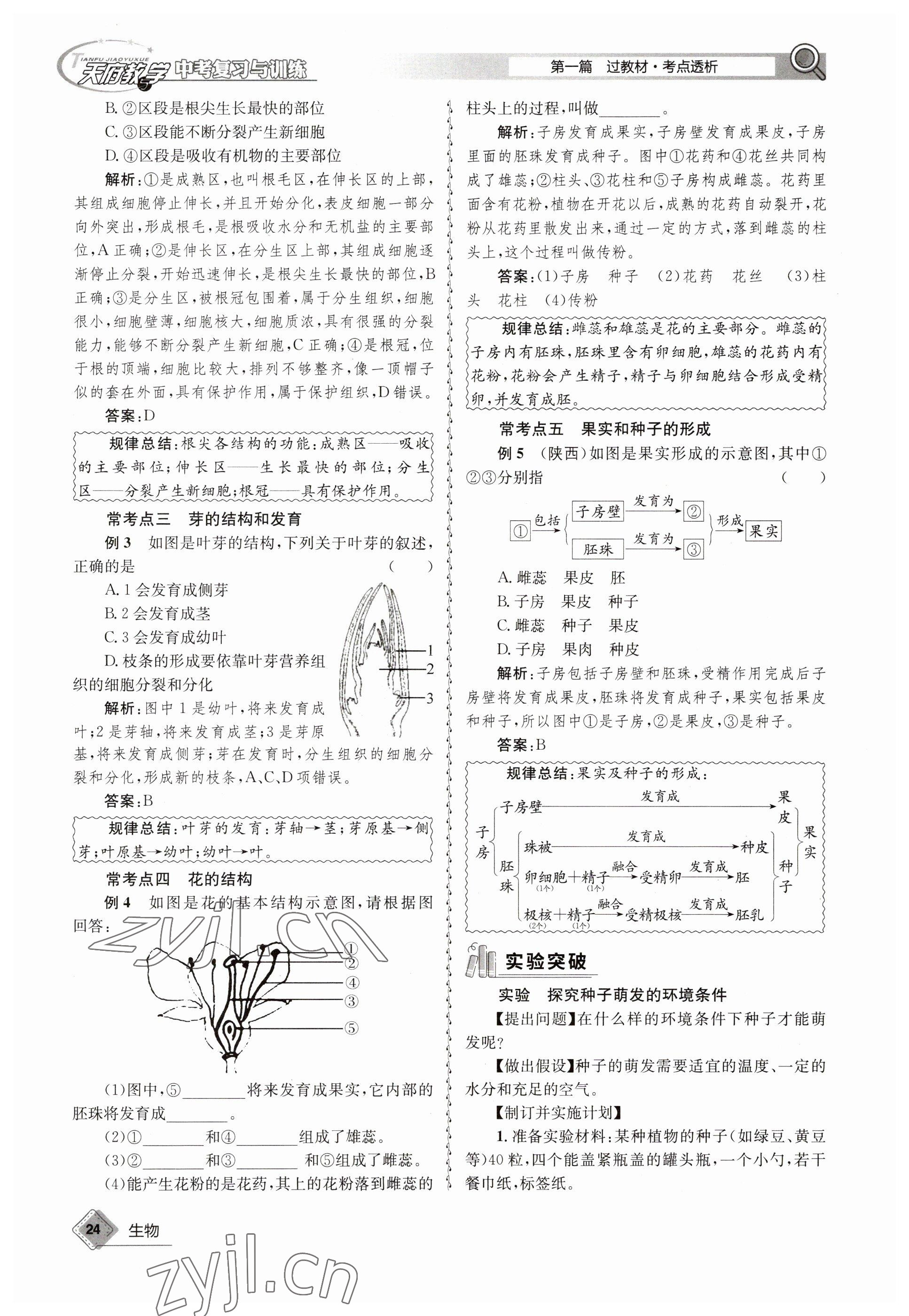 2023年天府教與學(xué)中考復(fù)習(xí)與訓(xùn)練生物 參考答案第24頁