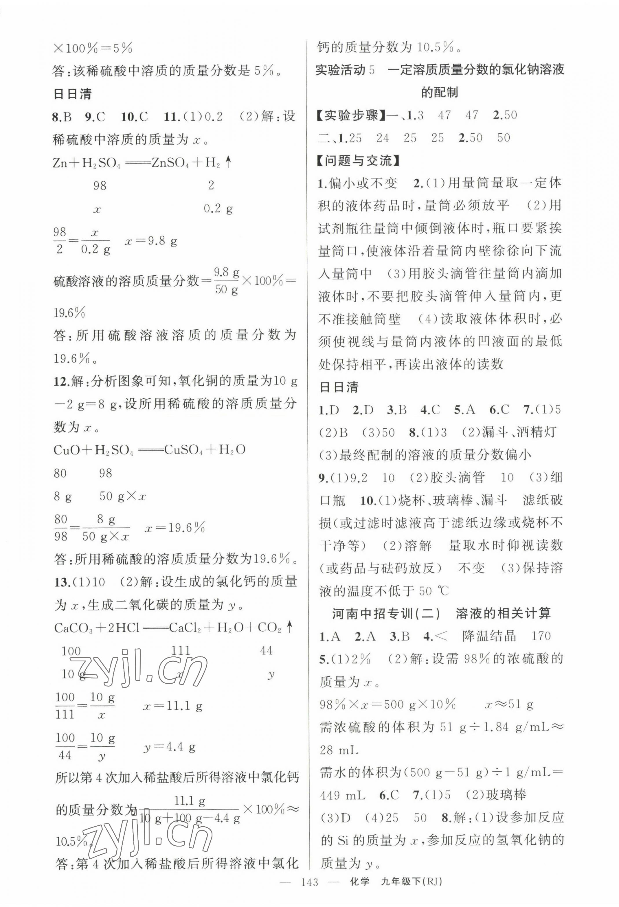 2023年四清導航九年級化學下冊人教版河南專版 第5頁