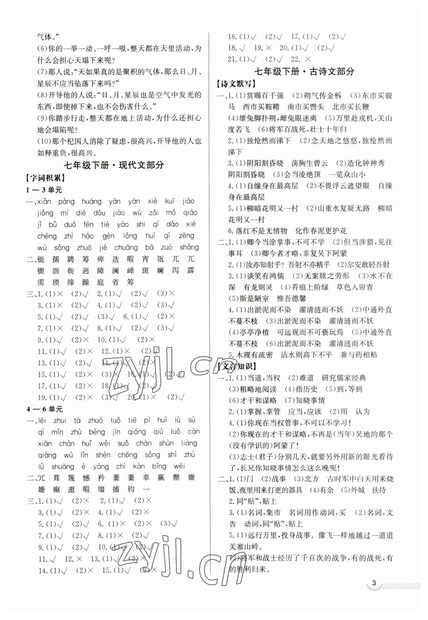 2023年中考档案语文青岛专版 第3页