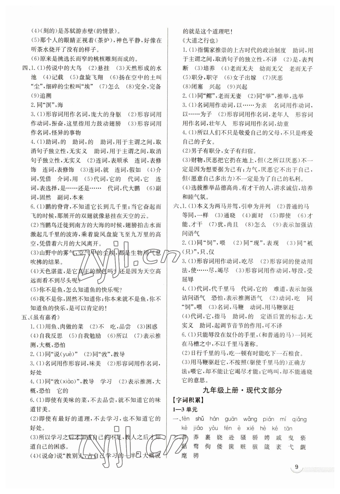 2023年中考档案语文青岛专版 第9页