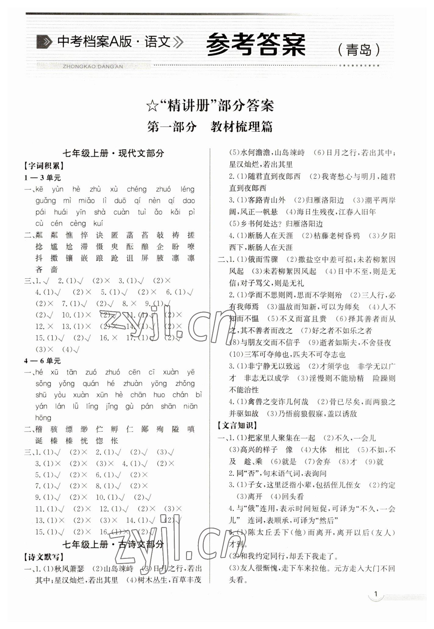 2023年中考档案语文青岛专版 第1页