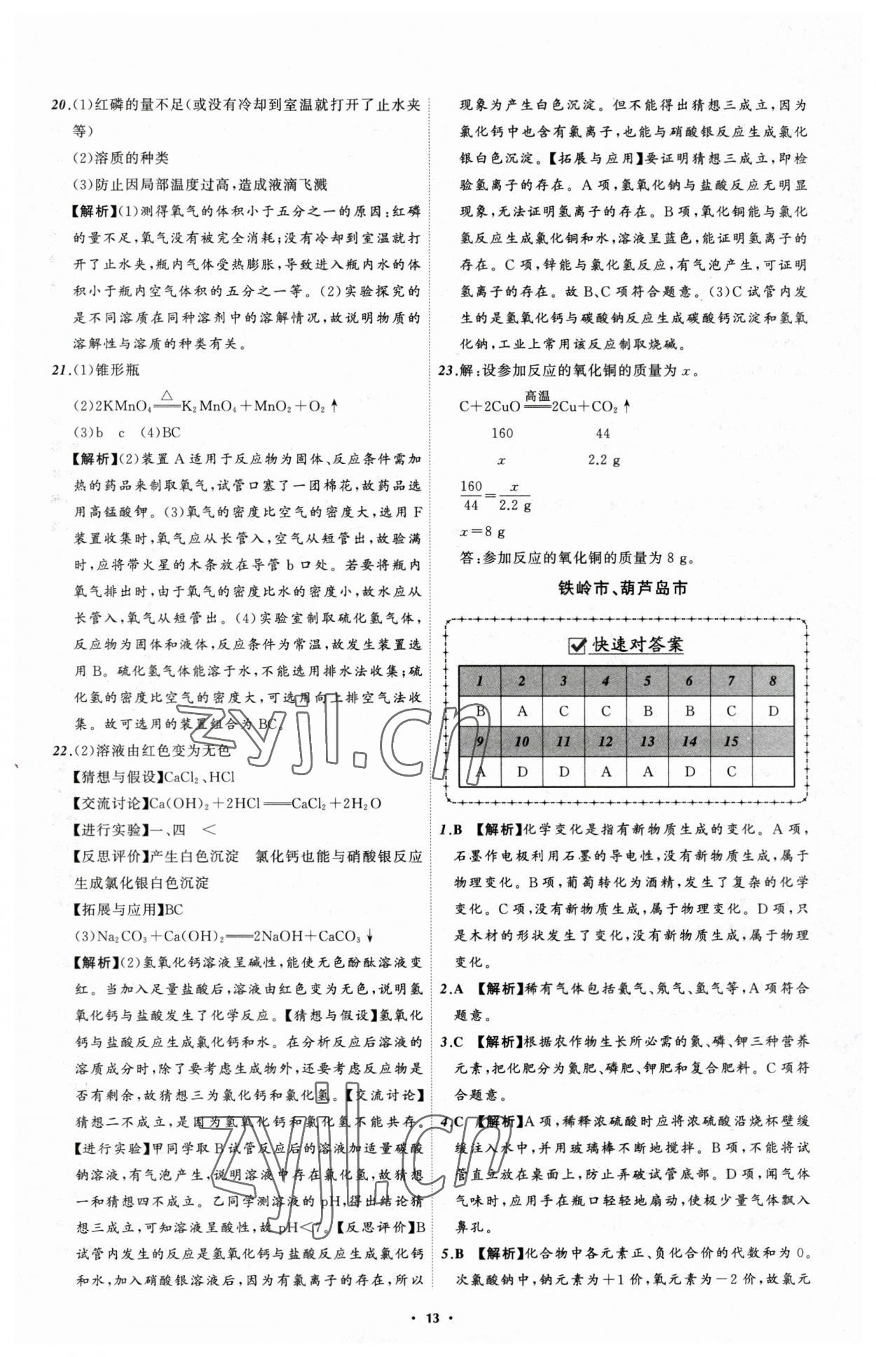 2023年中考必备化学辽宁专版 参考答案第13页