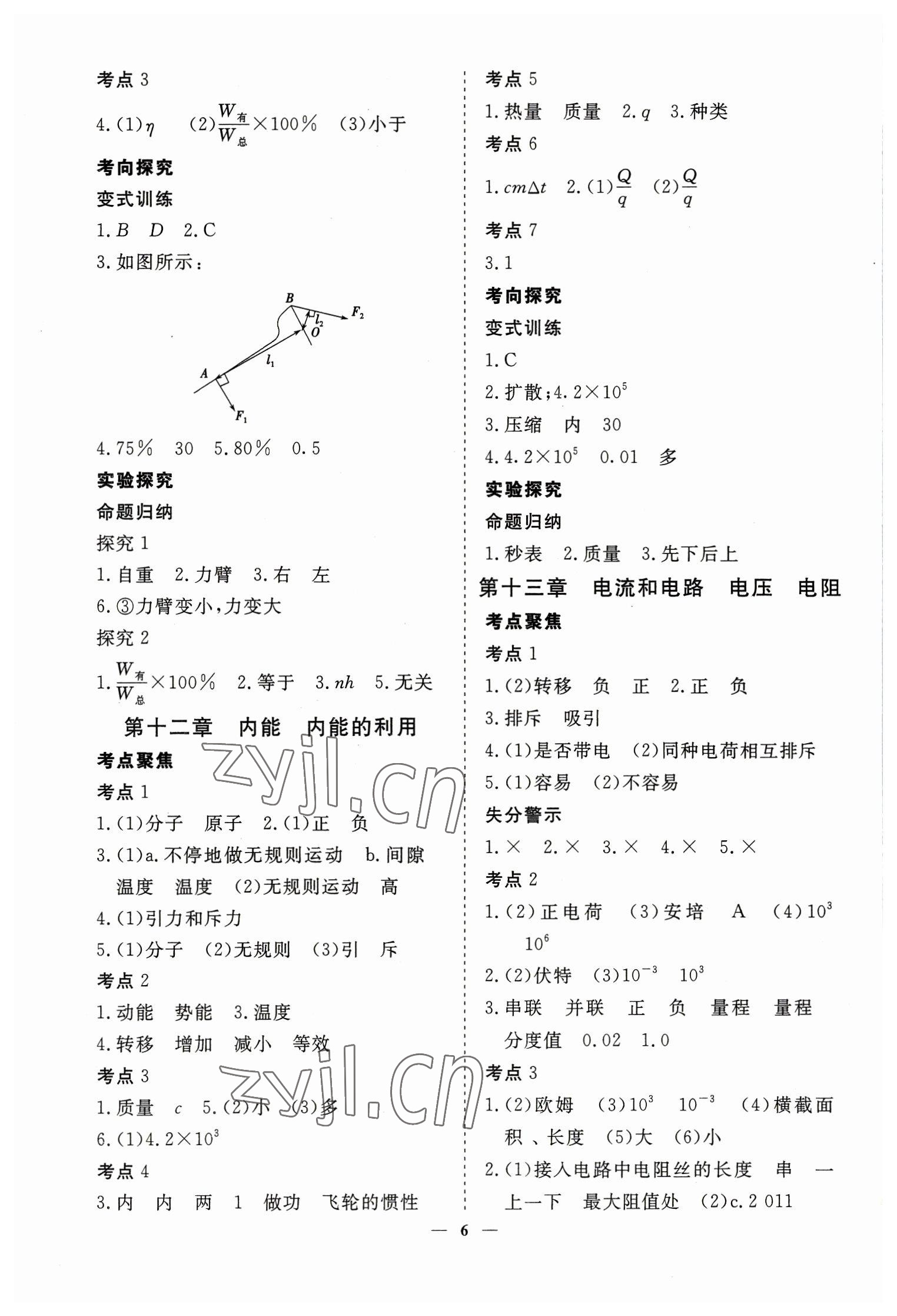 2023年致勝中考初中總復(fù)習(xí)指導(dǎo)用書物理 參考答案第6頁