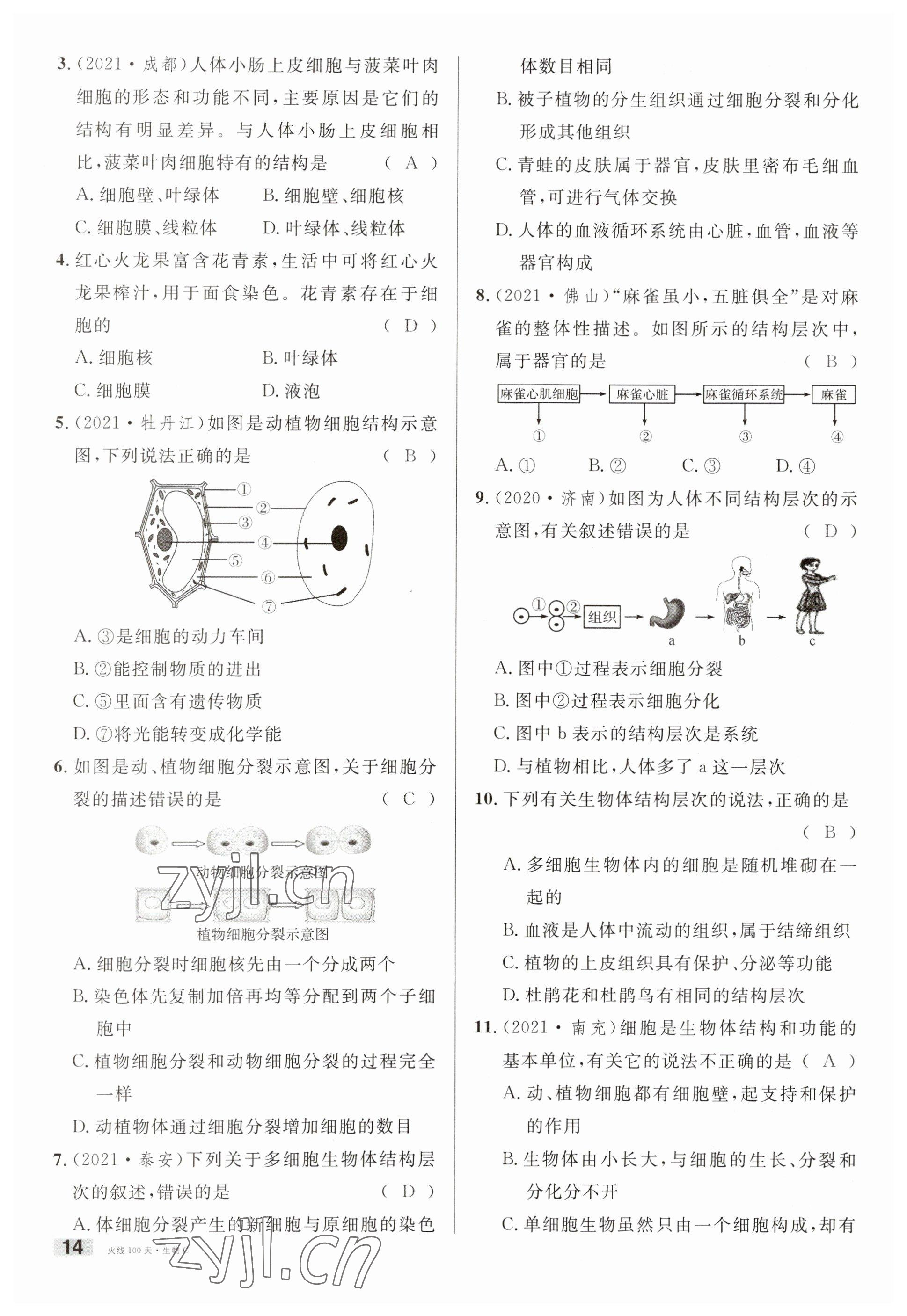 2023年火線100天中考滾動復(fù)習(xí)法生物南充專版 參考答案第14頁