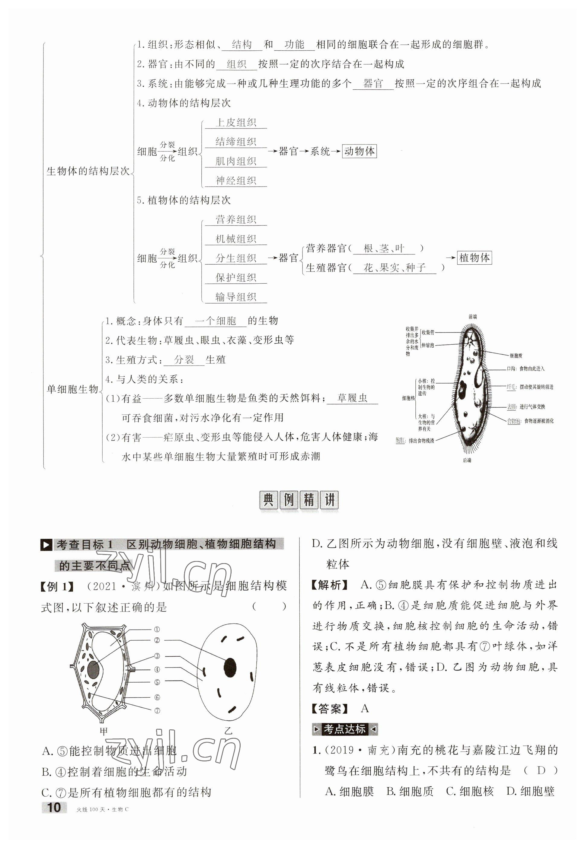 2023年火線100天中考滾動復(fù)習(xí)法生物南充專版 參考答案第10頁