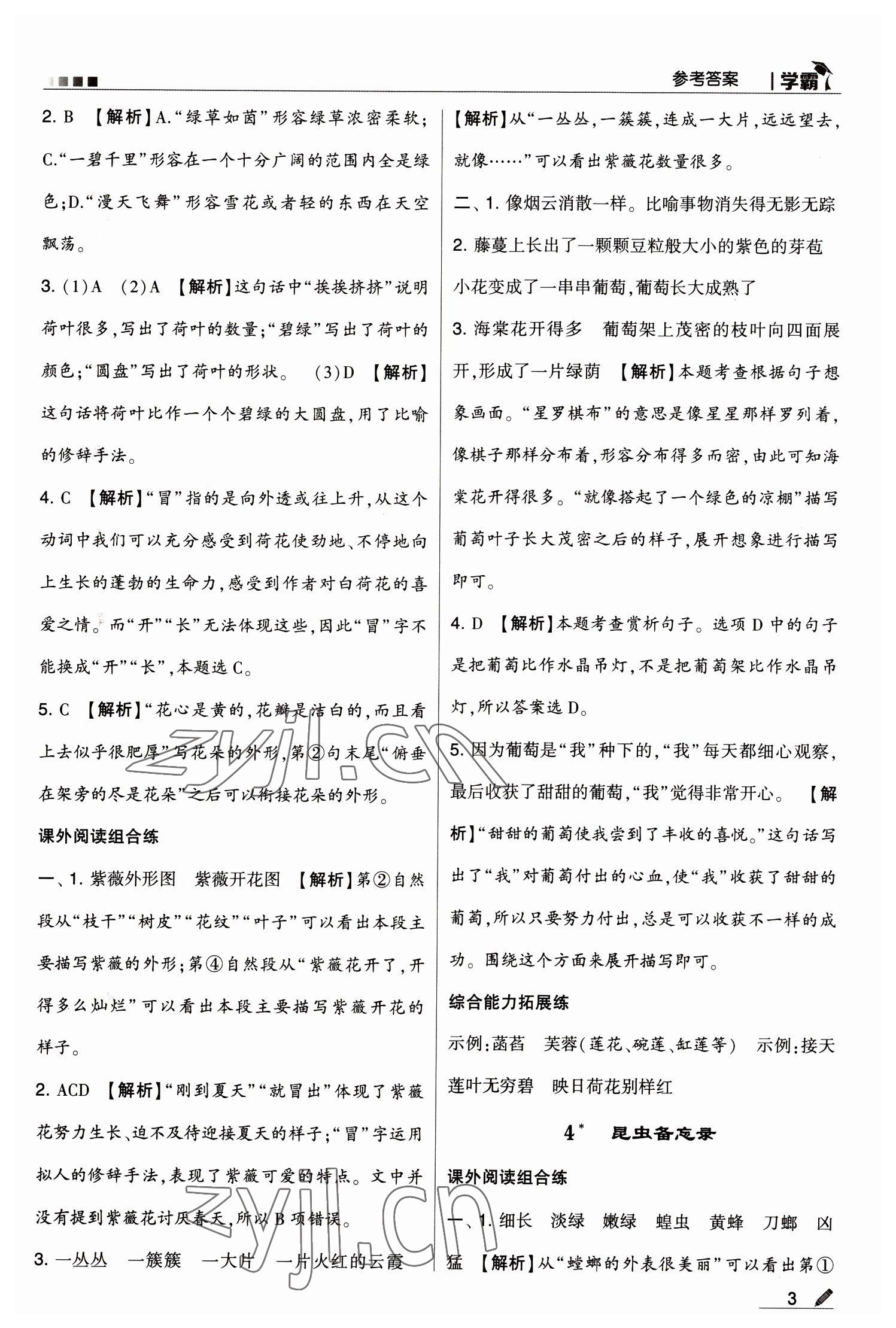 2023年喬木圖書學(xué)霸三年級語文下冊人教版 第3頁