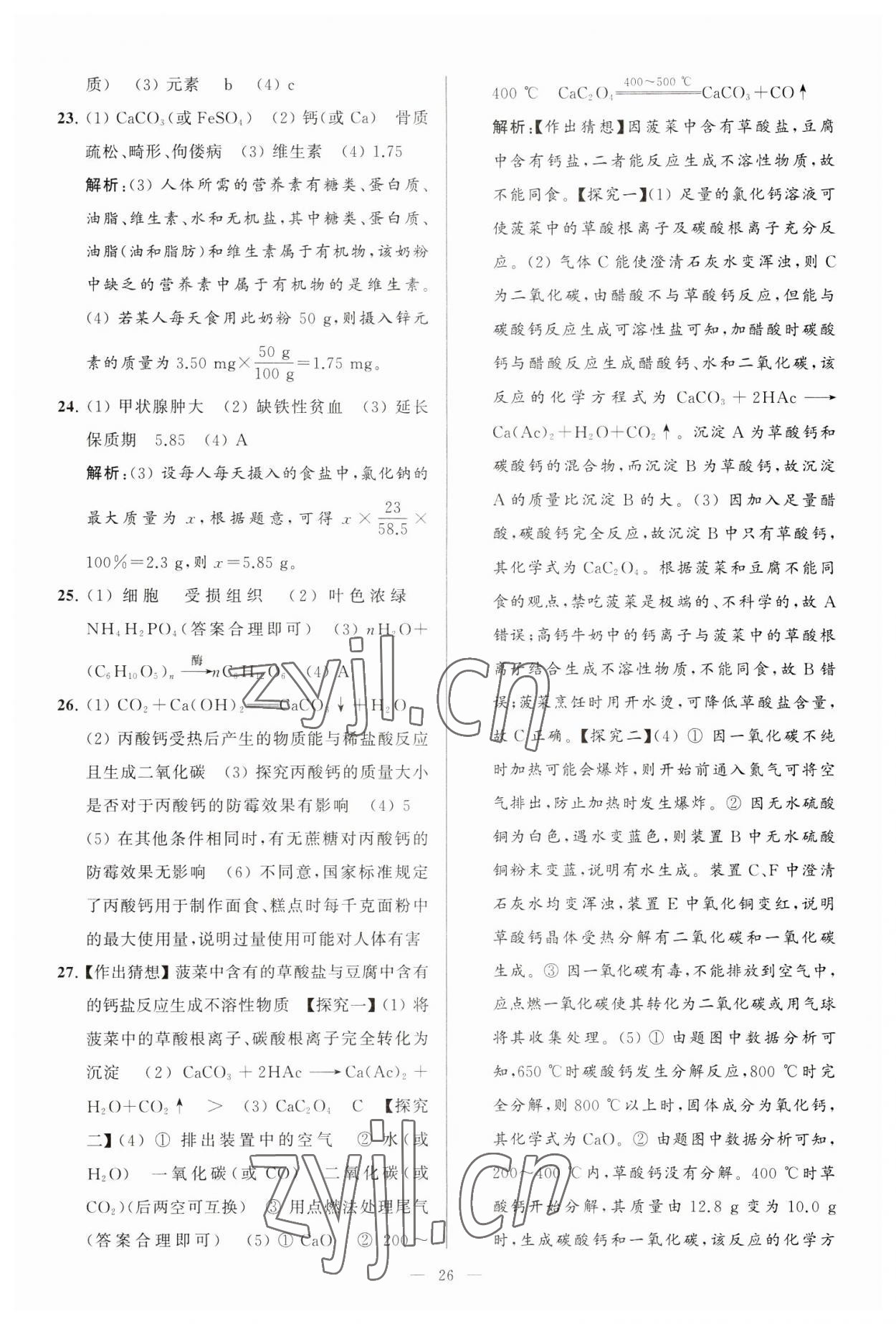 2023年亮点给力大试卷九年级化学下册沪教版 第26页