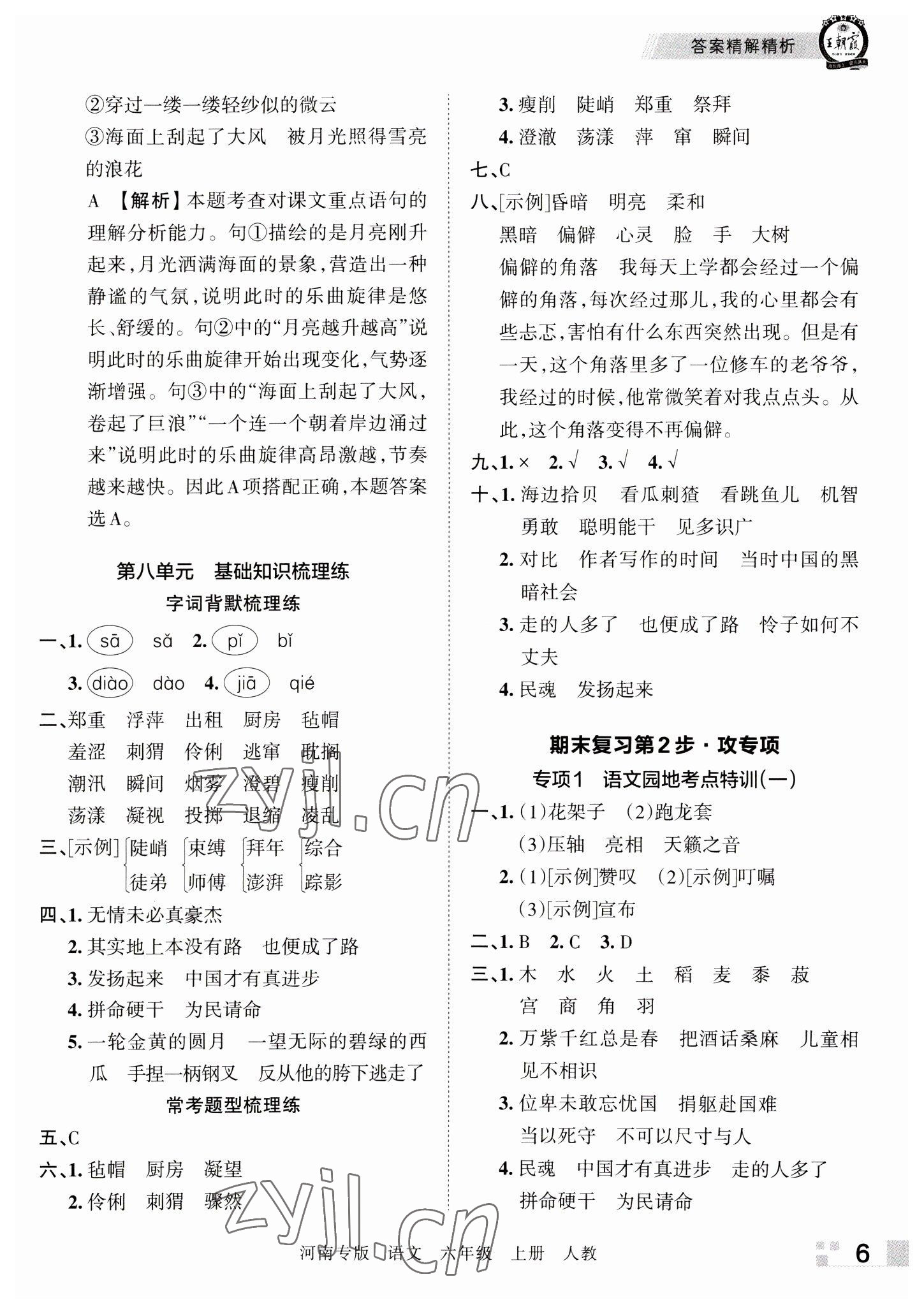 2022年王朝霞各地期末试卷精选六年级语文上册人教版河南专版 参考答案第6页