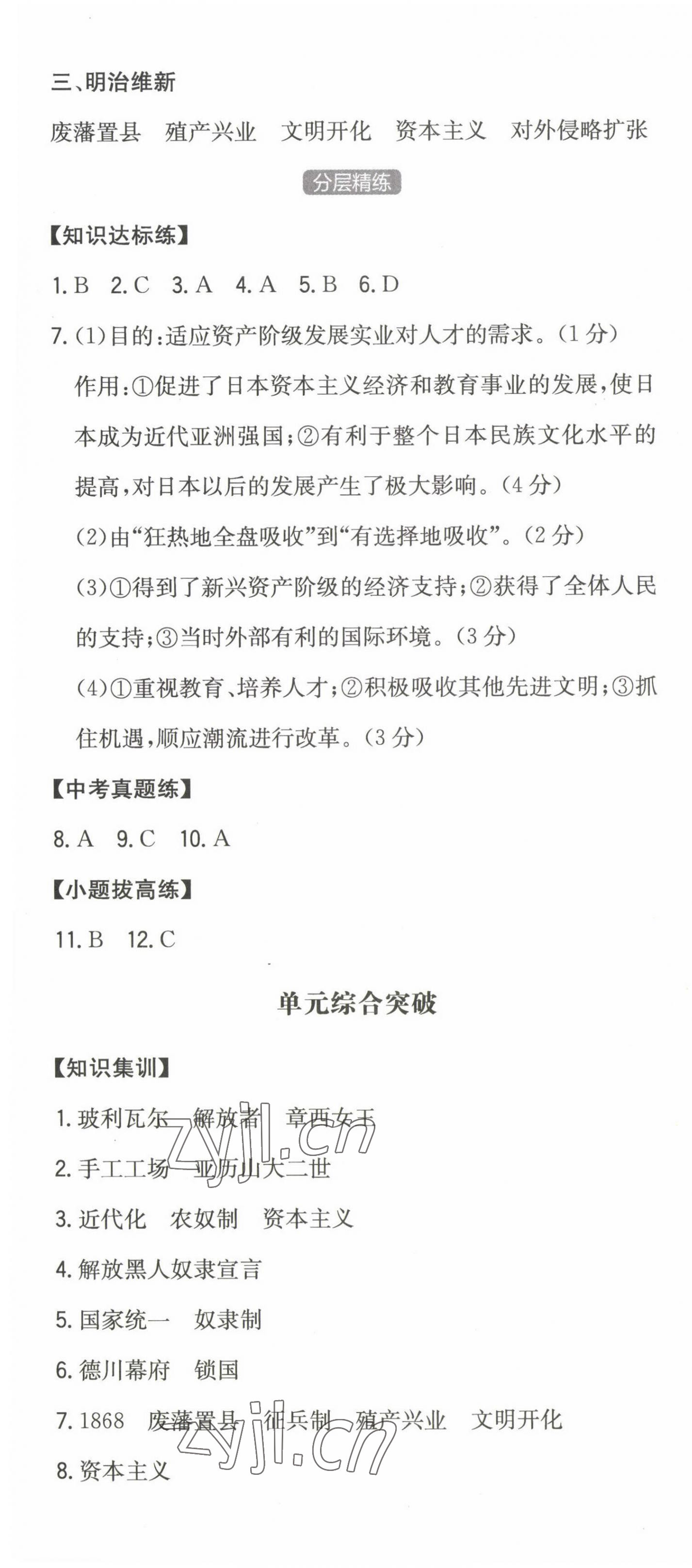 2023年一本同步訓(xùn)練九年級(jí)初中歷史下冊(cè)人教版 第4頁