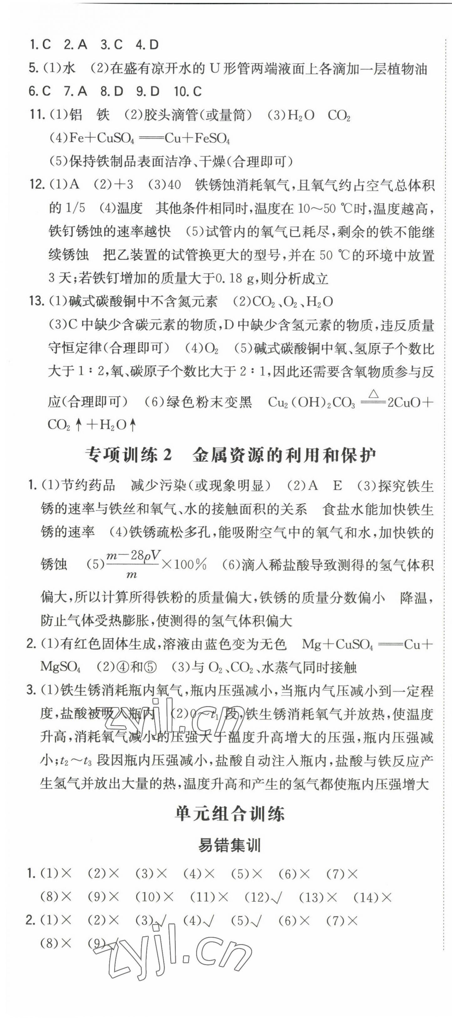 2023年一本同步訓(xùn)練九年級(jí)初中化學(xué)下冊(cè)人教版 第4頁