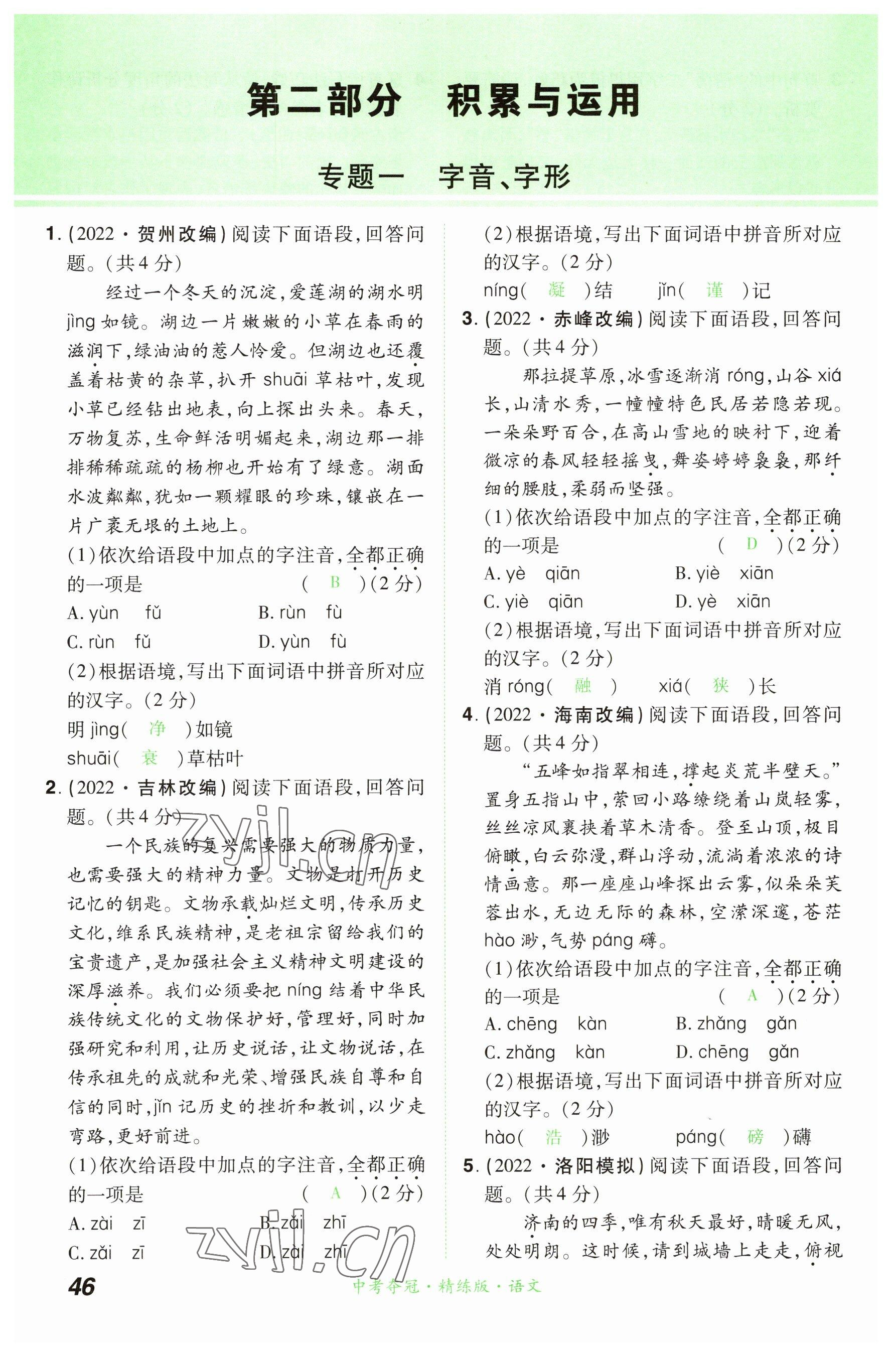 2023年国华教育中考夺冠语文河南专版 参考答案第46页