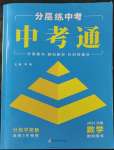 2023年中考通郑州大学出版社数学河南专版