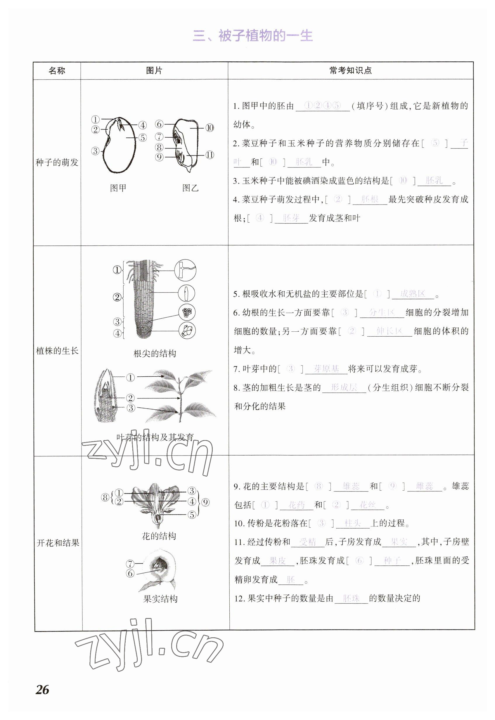 2023年中考通生物河南專版 參考答案第26頁