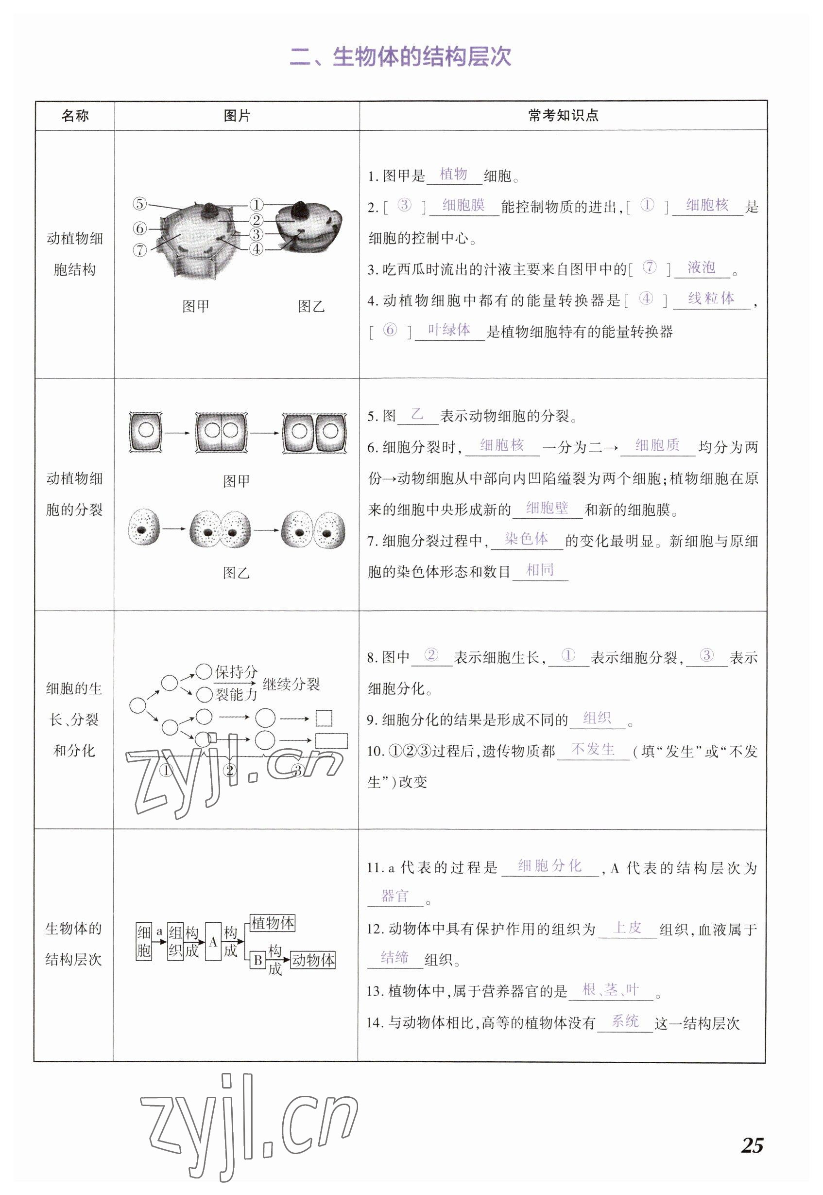 2023年中考通生物河南專版 參考答案第25頁(yè)