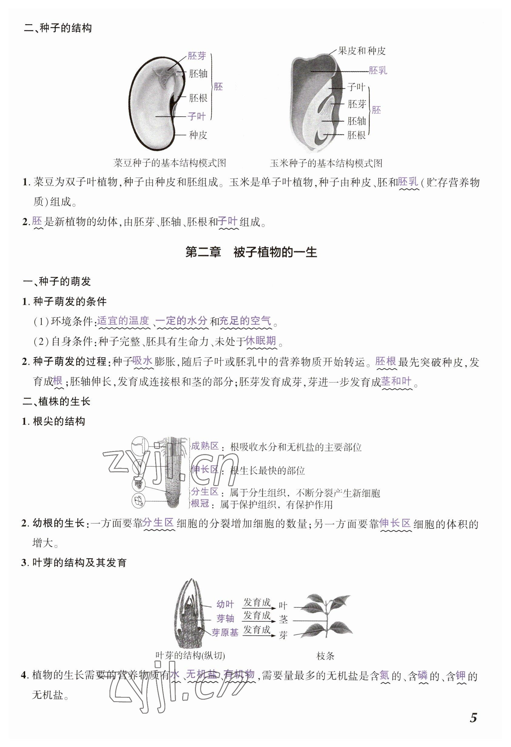 2023年中考通生物河南專版 參考答案第5頁(yè)