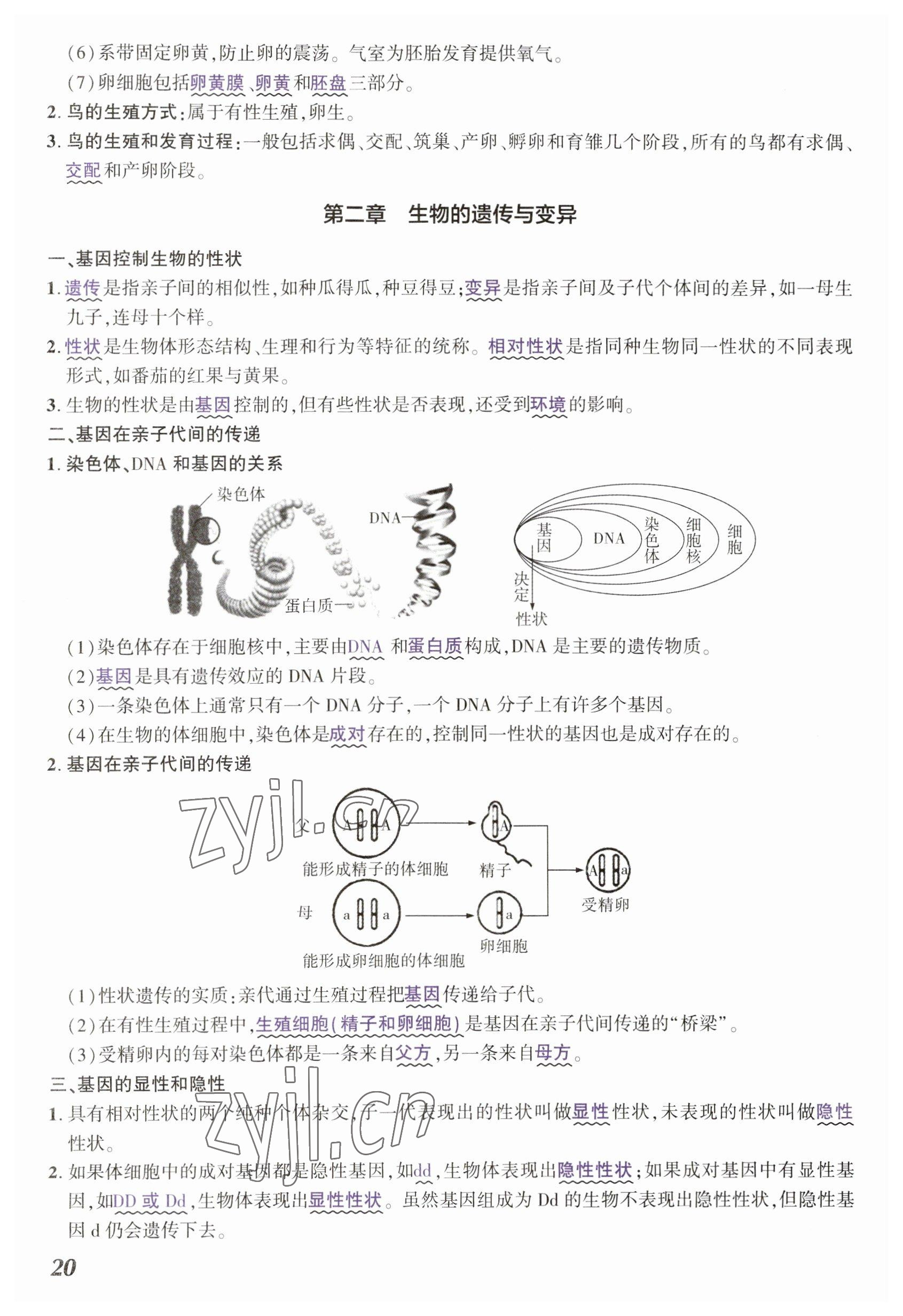 2023年中考通生物河南专版 参考答案第20页