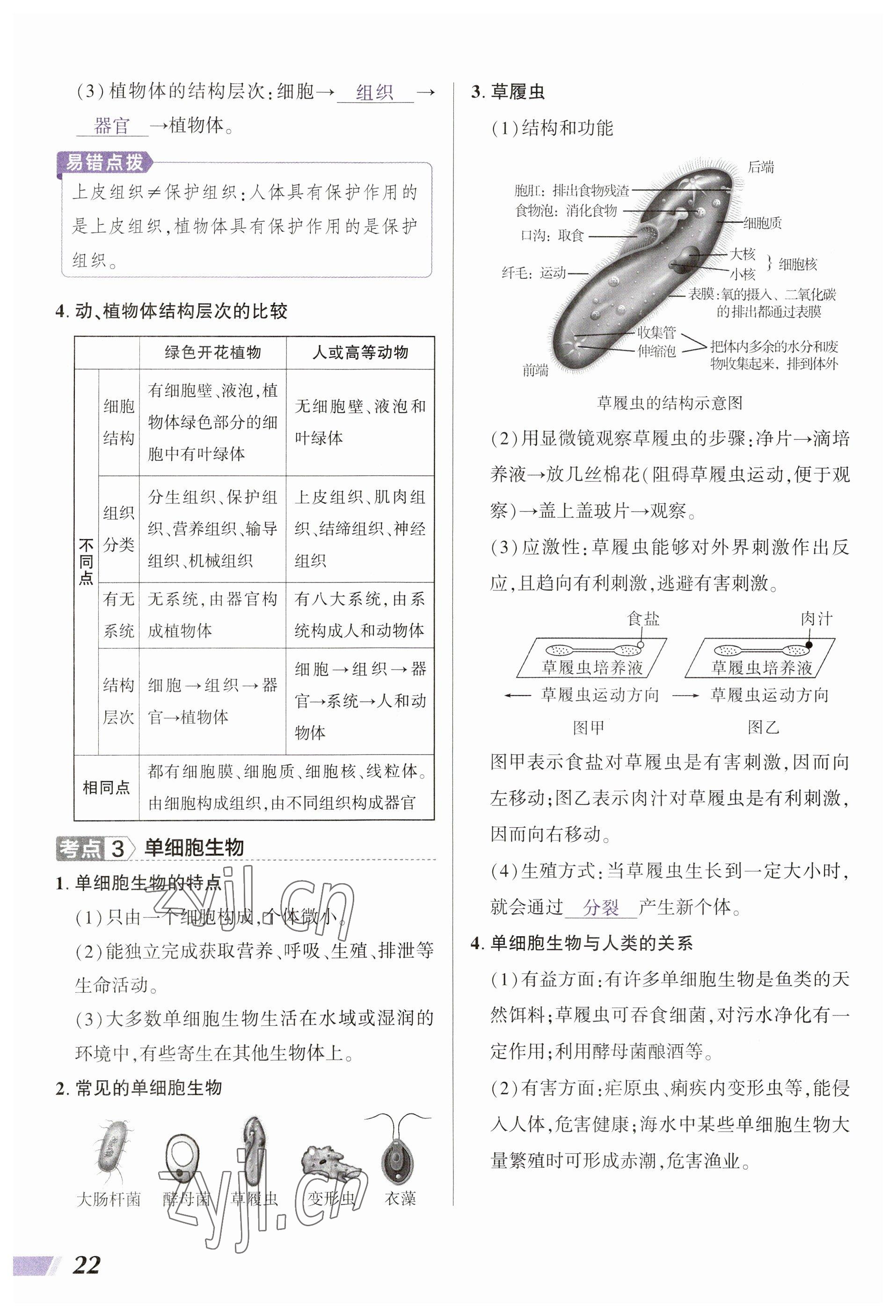 2023年中考通生物河南專版 參考答案第22頁