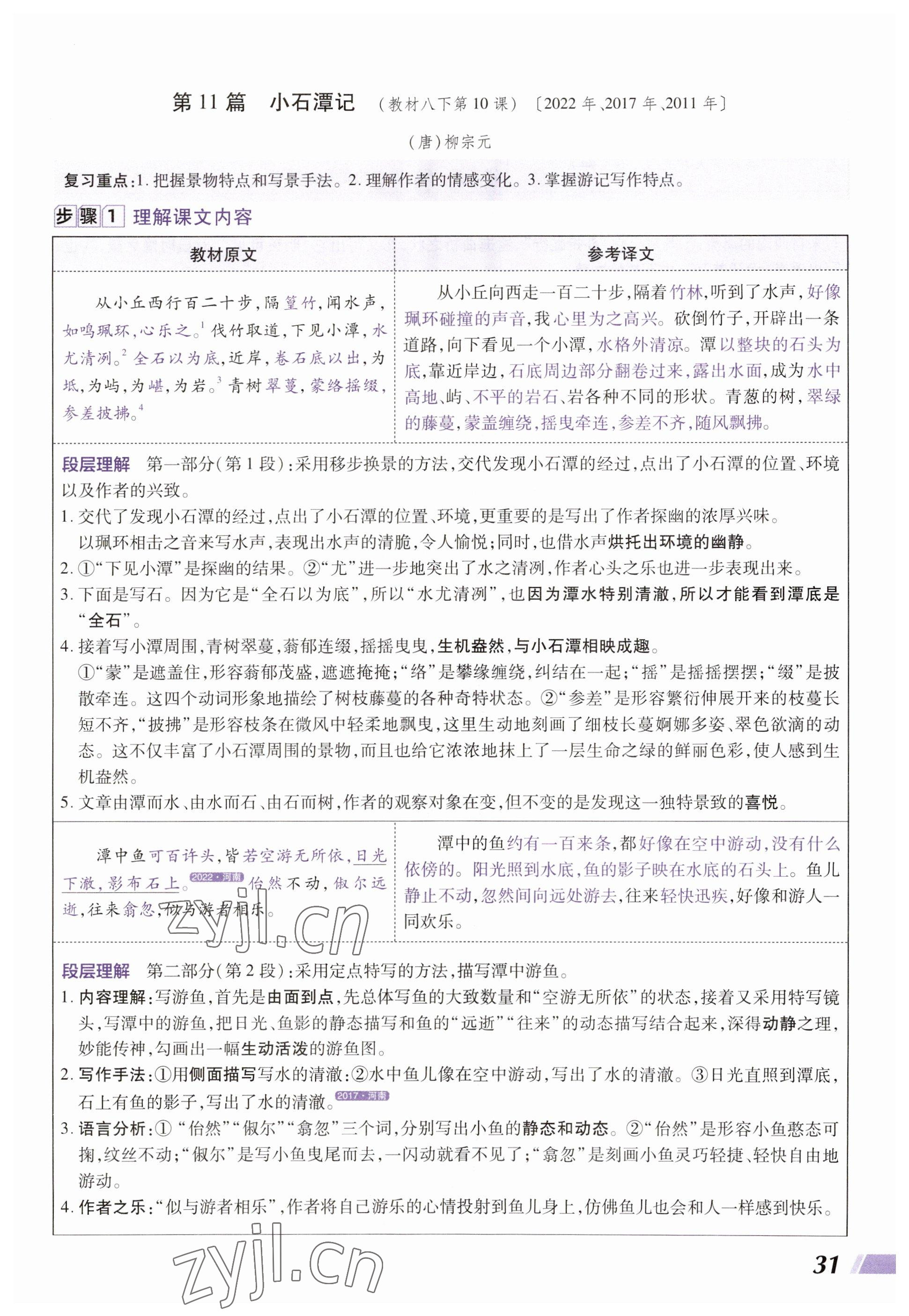 2023年中考通语文河南专版 参考答案第31页