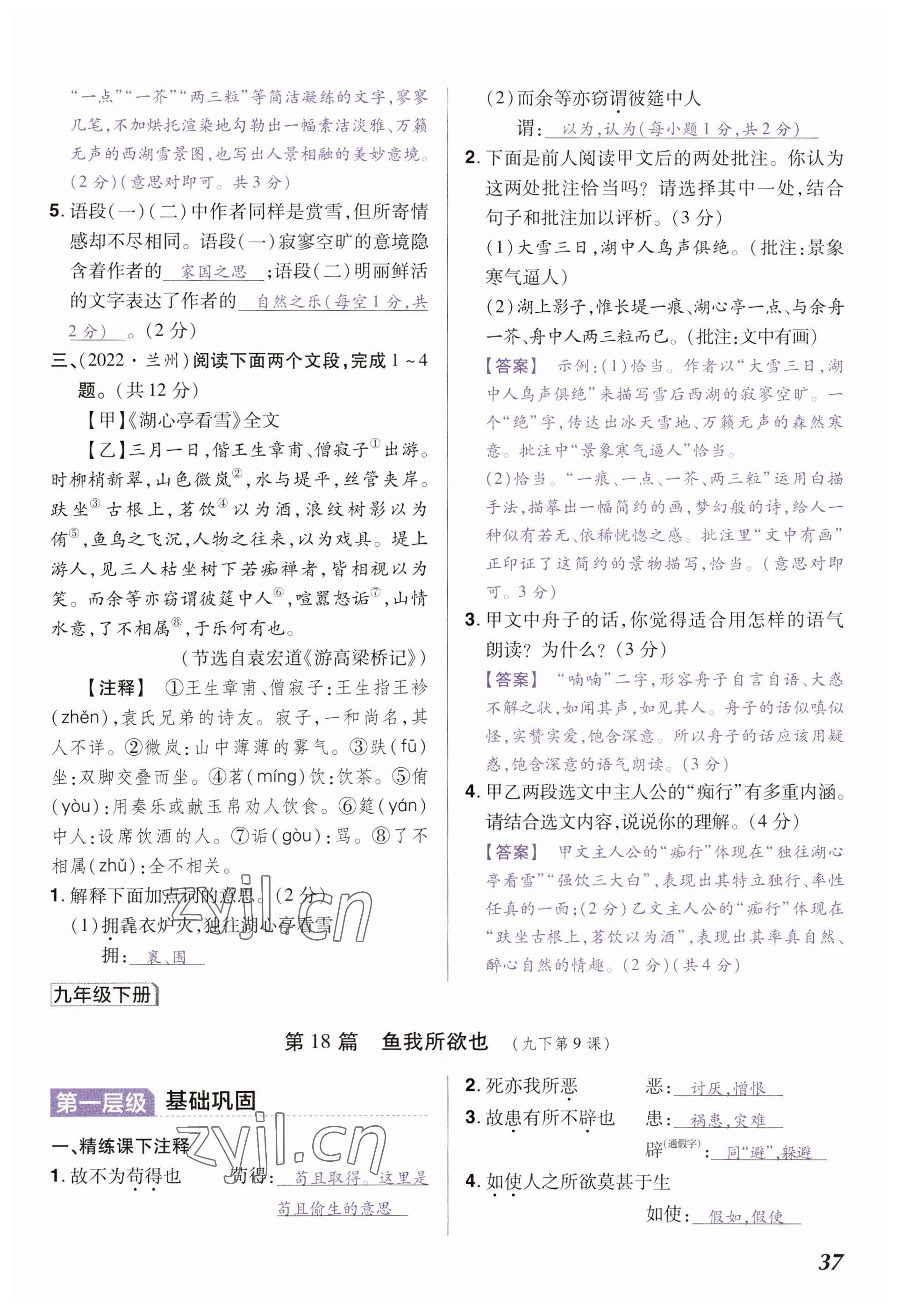 2023年中考通语文河南专版 参考答案第37页