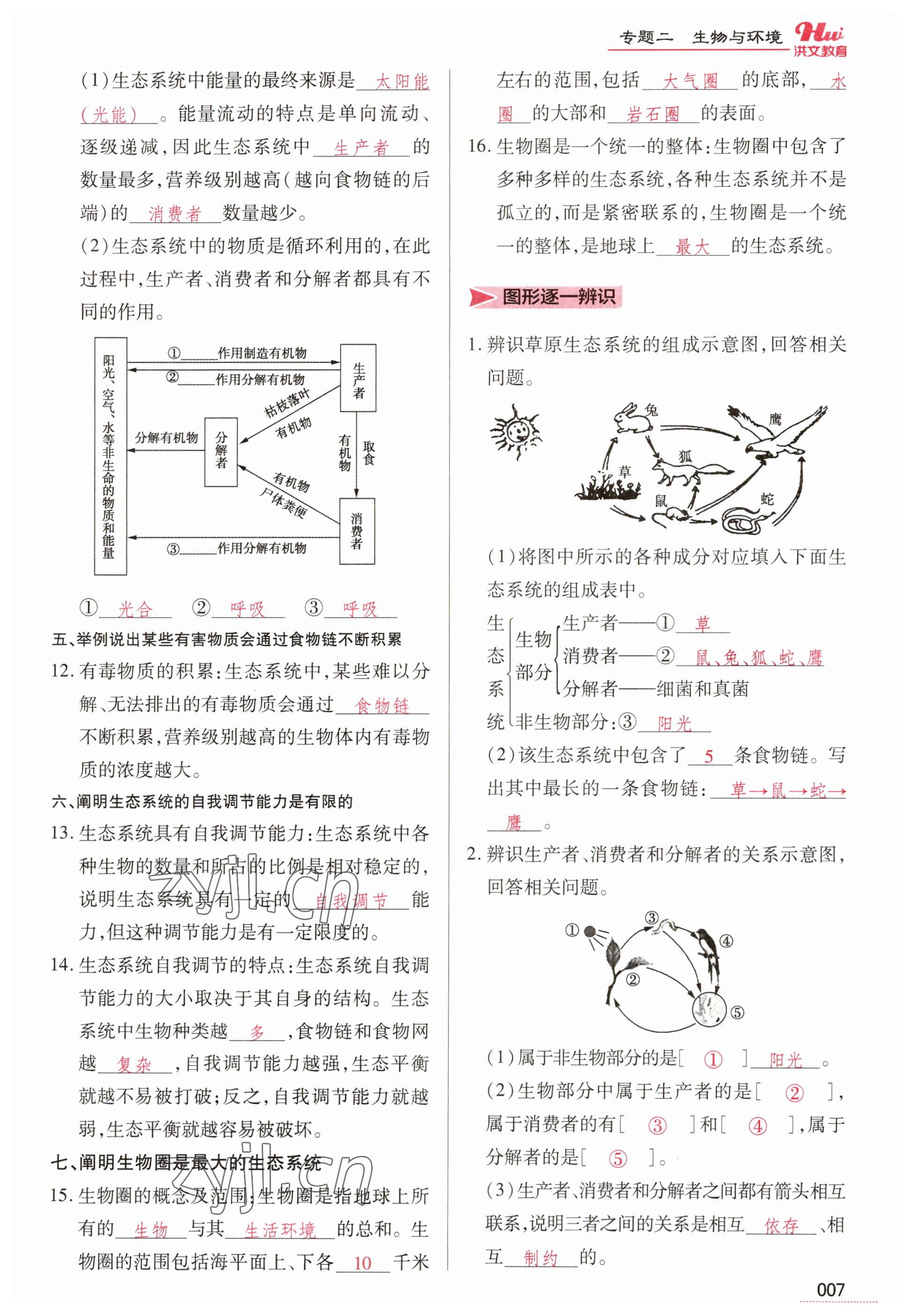 2023年洪文教育最新中考生物河南專版 參考答案第7頁