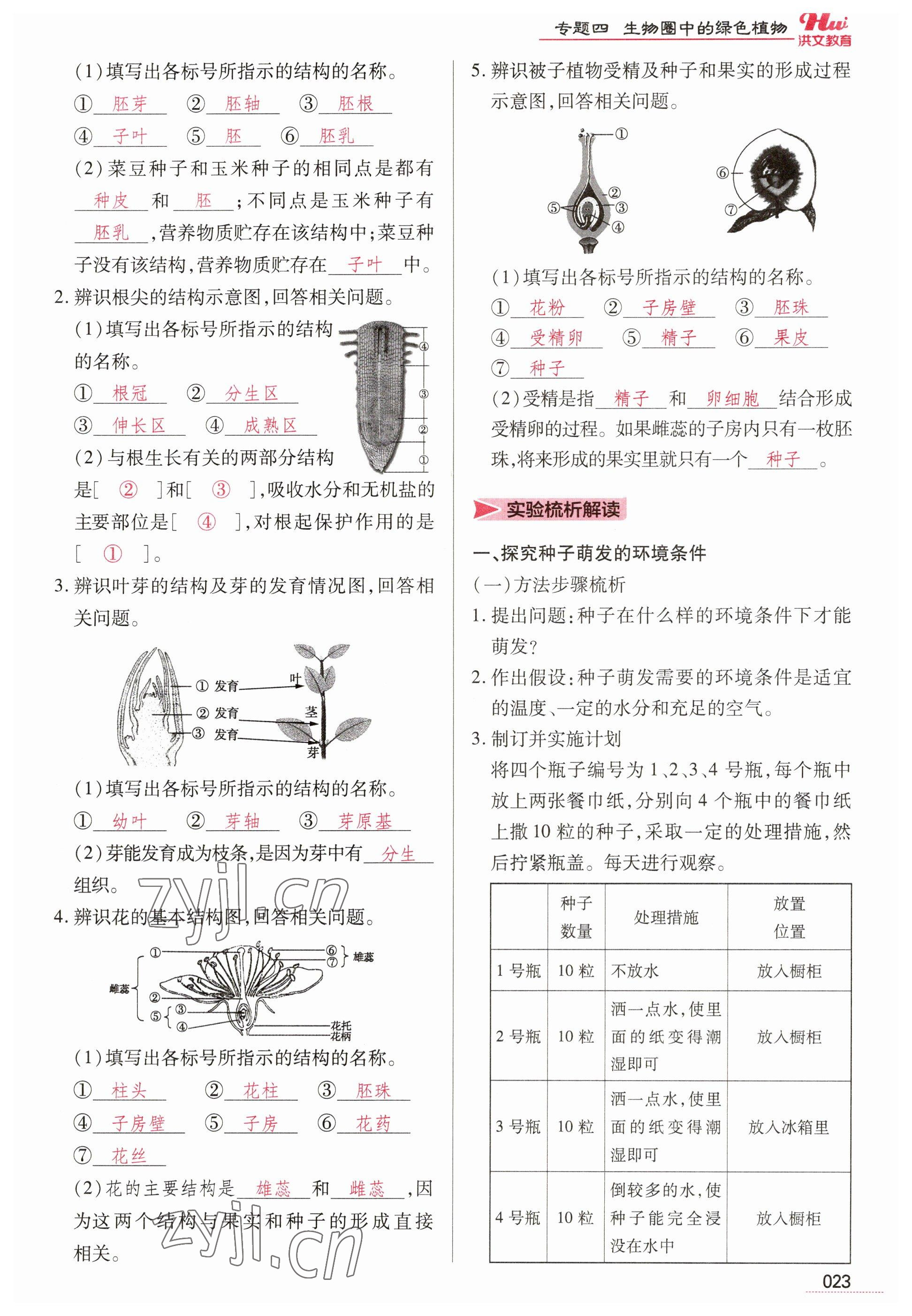 2023年洪文教育最新中考生物河南專版 參考答案第23頁