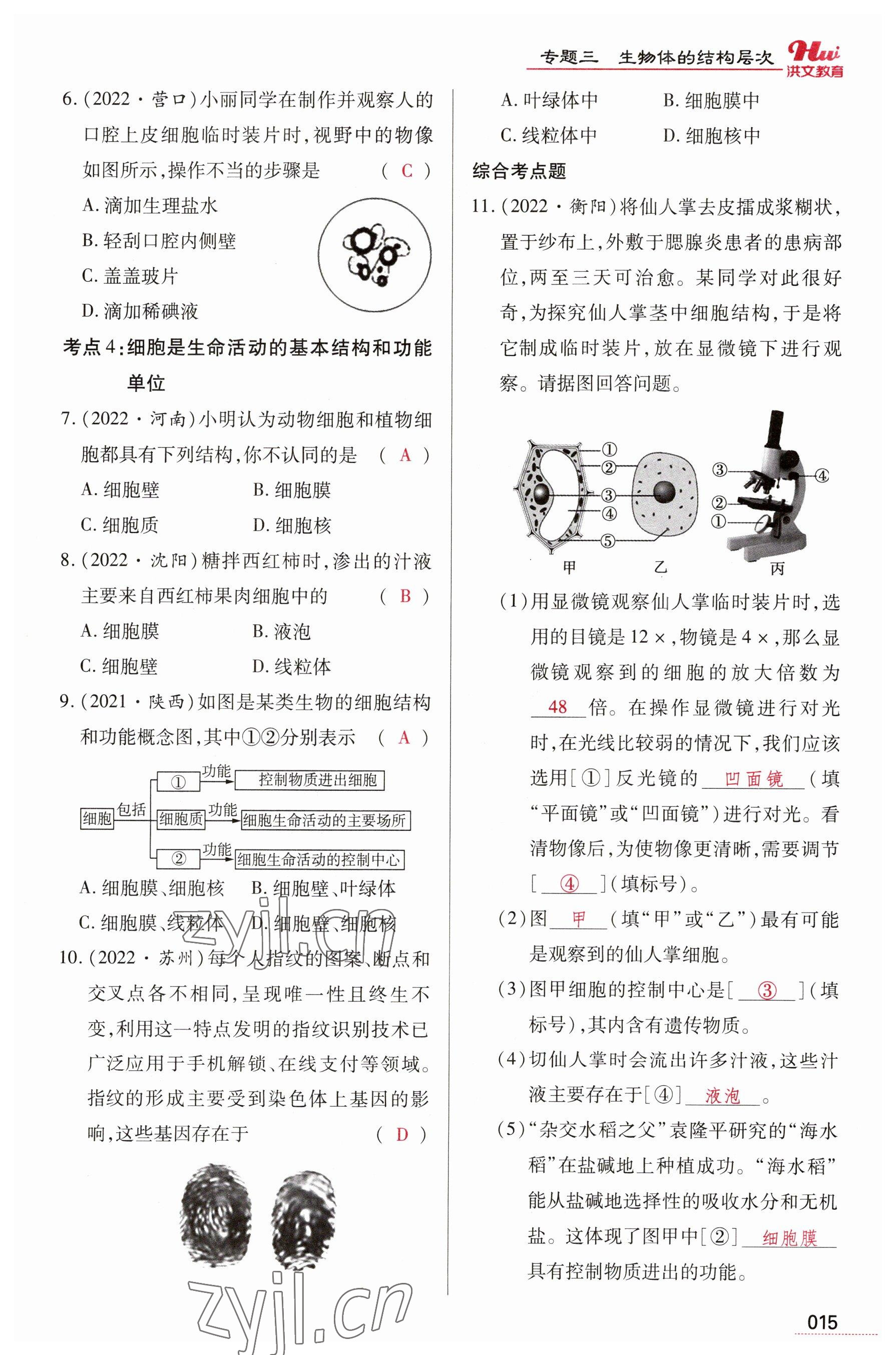 2023年洪文教育最新中考生物河南專版 參考答案第15頁(yè)