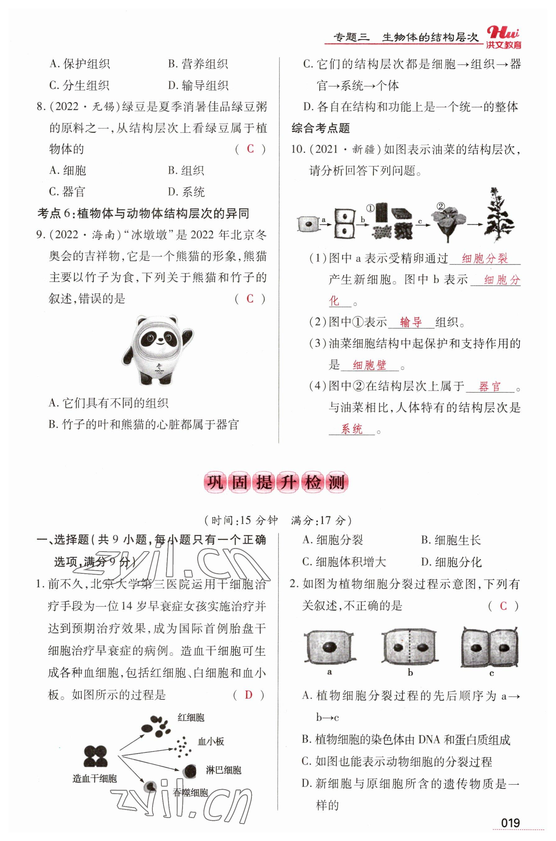 2023年洪文教育最新中考生物河南專版 參考答案第19頁(yè)