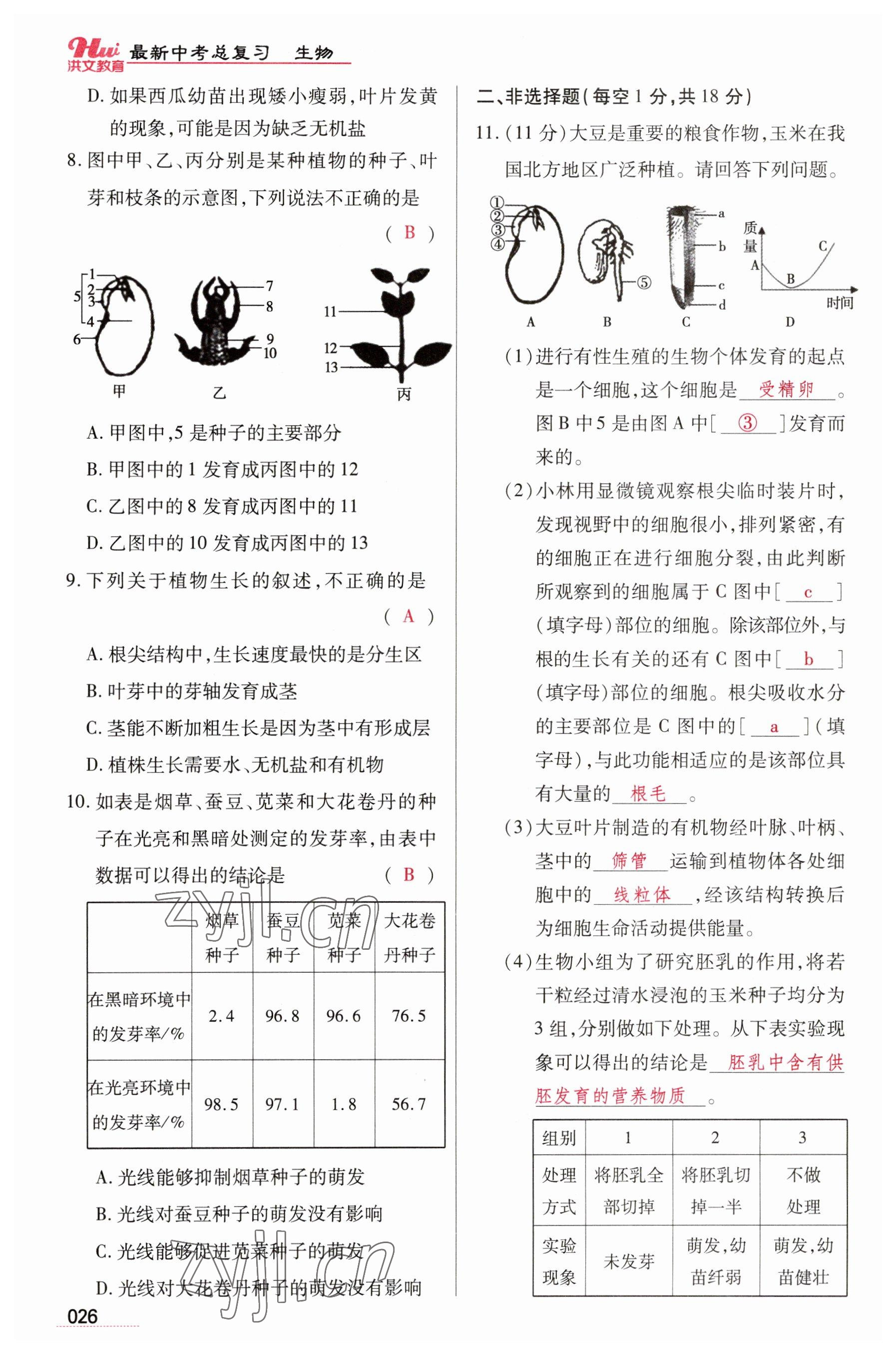 2023年洪文教育最新中考生物河南專版 參考答案第26頁