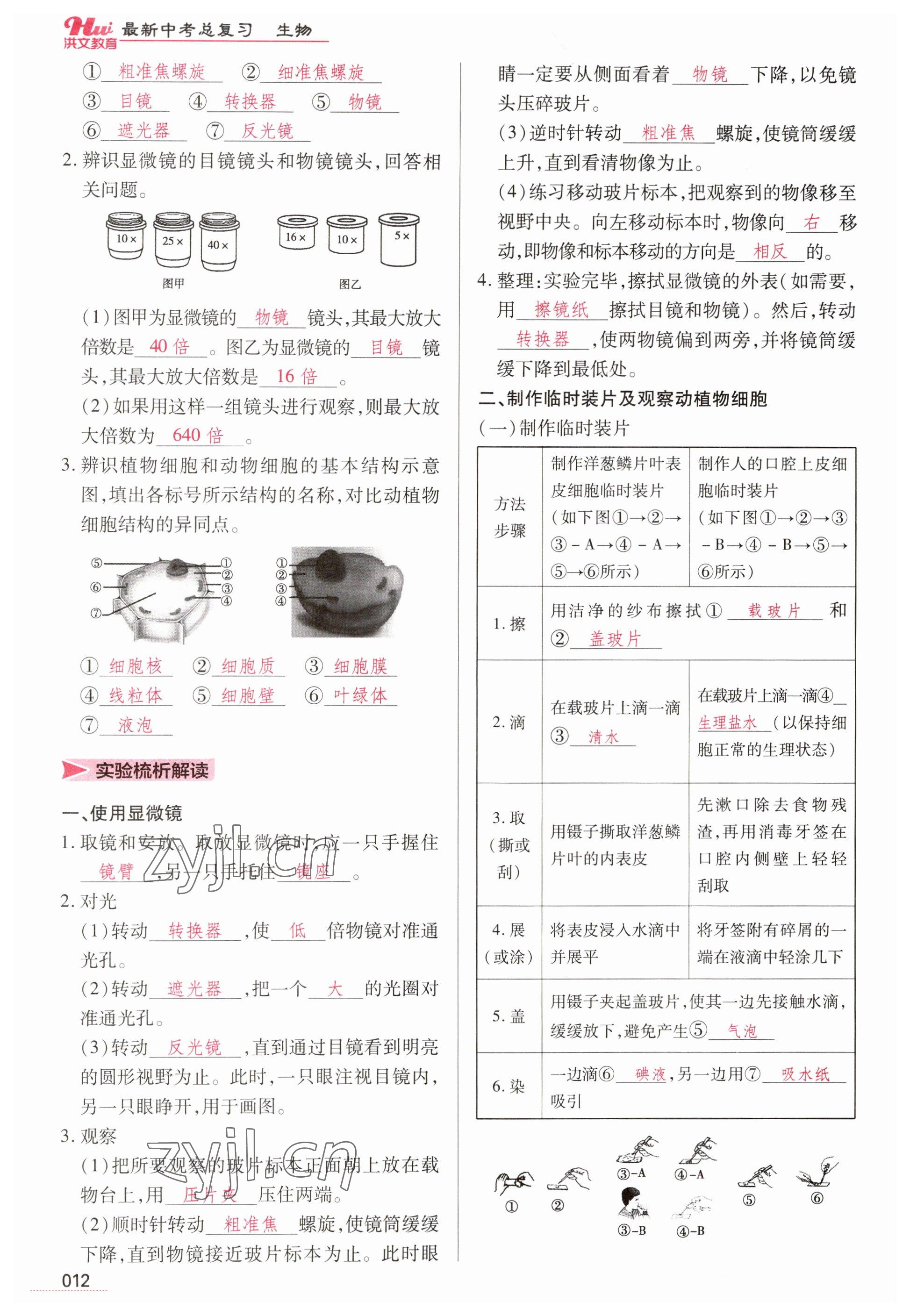 2023年洪文教育最新中考生物河南專版 參考答案第12頁