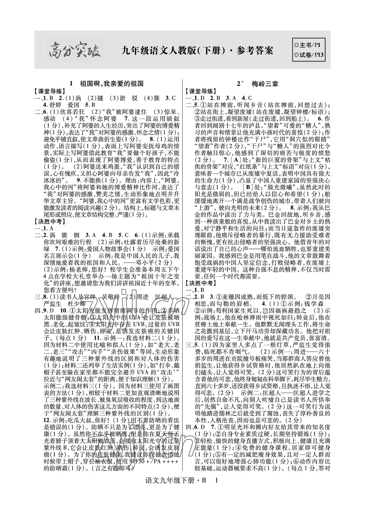 2023年高分突破课时达标讲练测九年级语文下册人教版 参考答案第1页