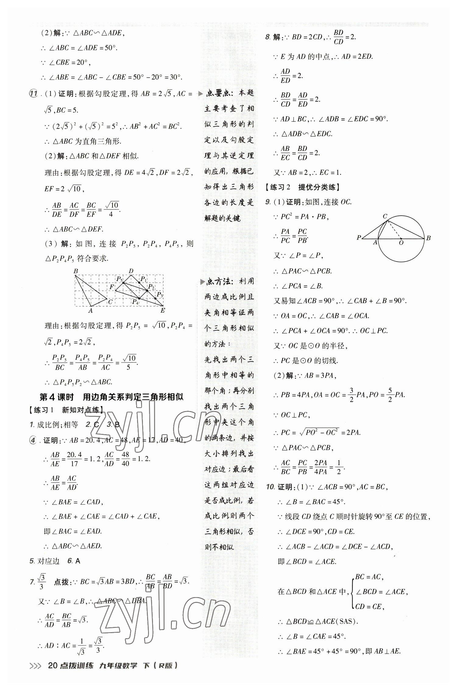 2023年點撥訓(xùn)練九年級數(shù)學(xué)下冊人教版 參考答案第19頁