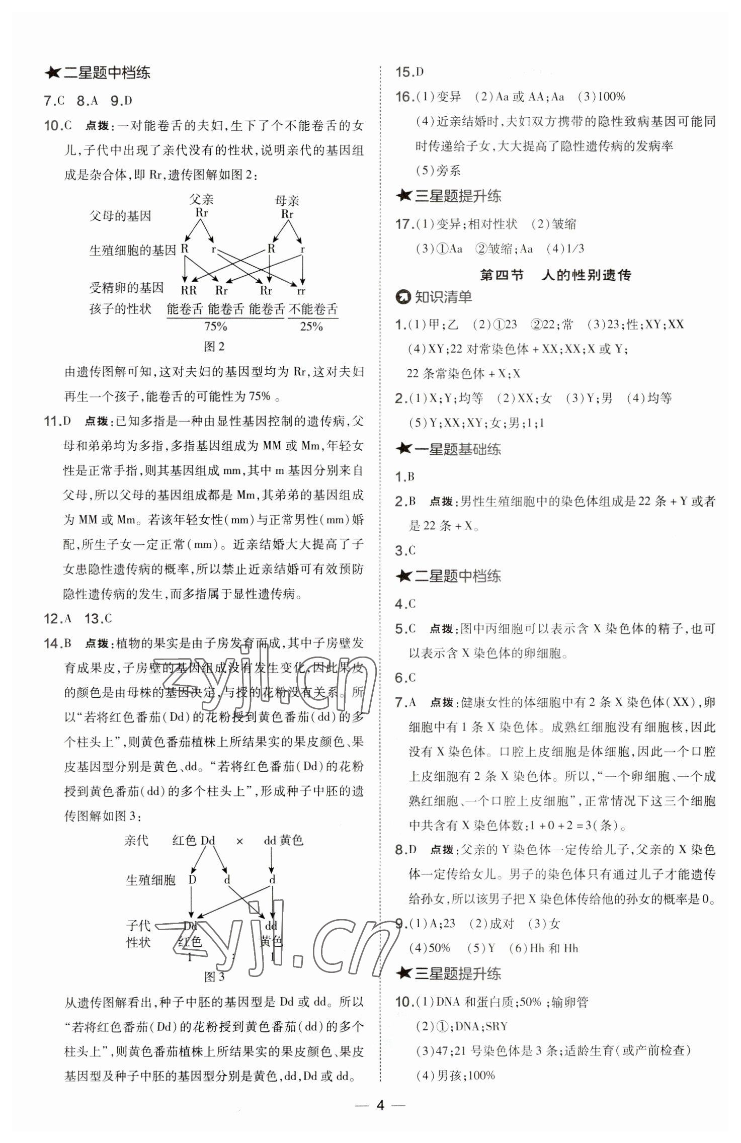 2023年點(diǎn)撥訓(xùn)練八年級(jí)生物下冊(cè)人教版 參考答案第4頁(yè)