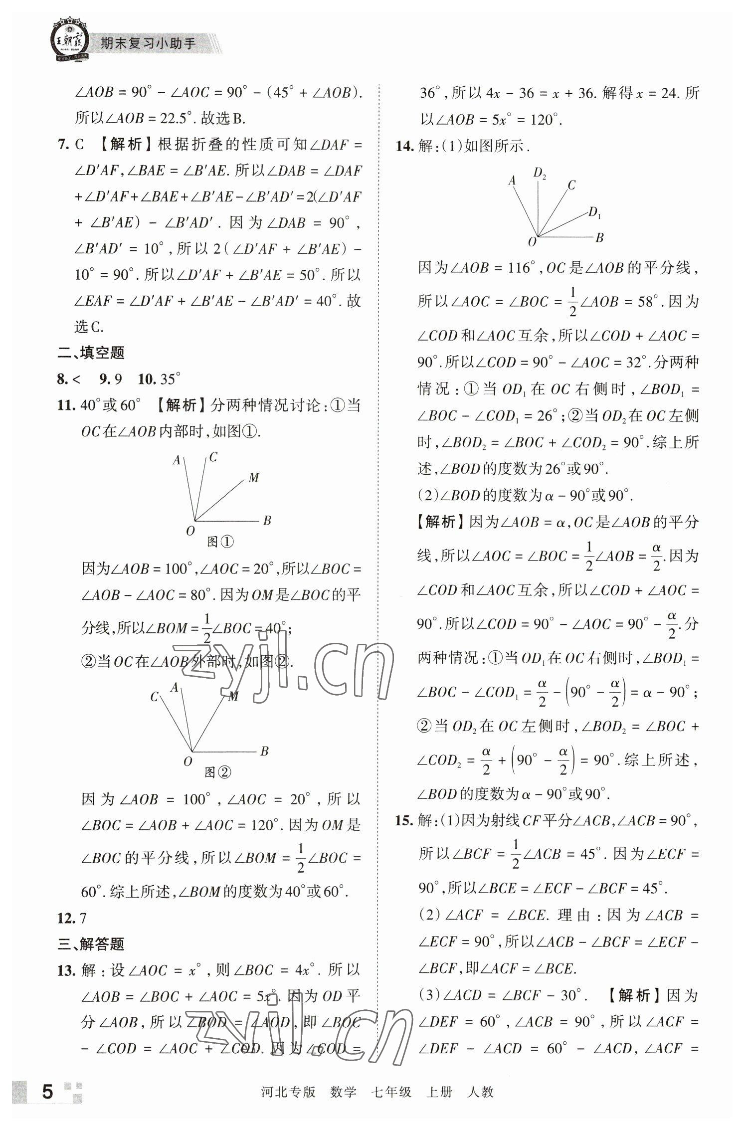 2022年王朝霞各地期末試卷精選七年級數(shù)學(xué)上冊人教版河北專版 參考答案第5頁