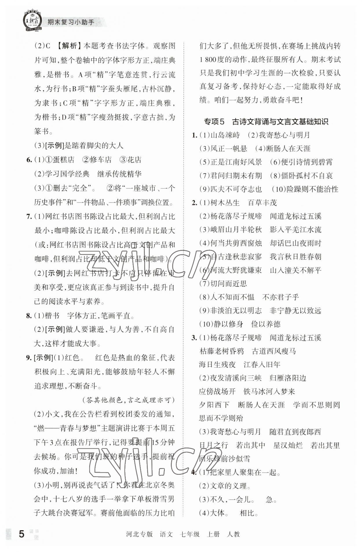 2022年王朝霞各地期末試卷精選七年級語文上冊人教版河北專版 參考答案第5頁