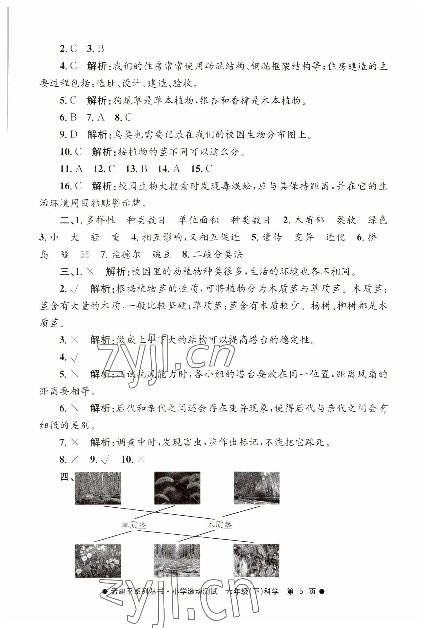 2023年孟建平小學(xué)滾動(dòng)測(cè)試六年級(jí)科學(xué)下冊(cè)教科版 第5頁(yè)