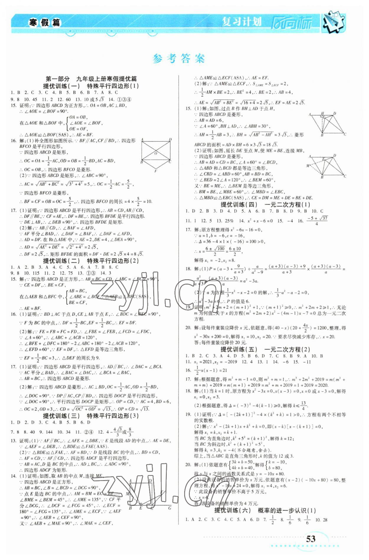 2023年复习计划风向标寒九年级数学北师大版 第1页