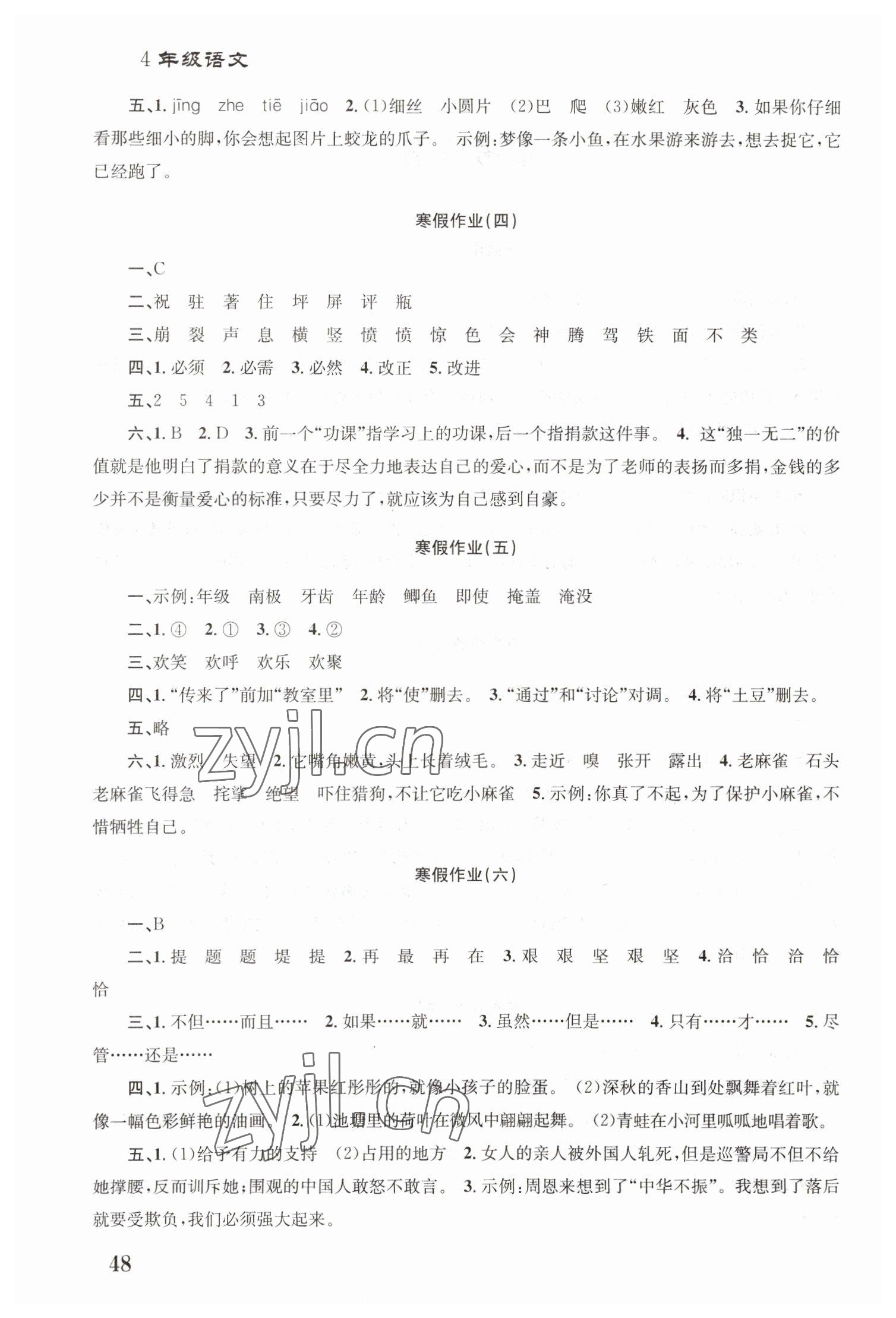 2023年寒假作業(yè)培優(yōu)銜接南京大學出版社四年級語文 第2頁