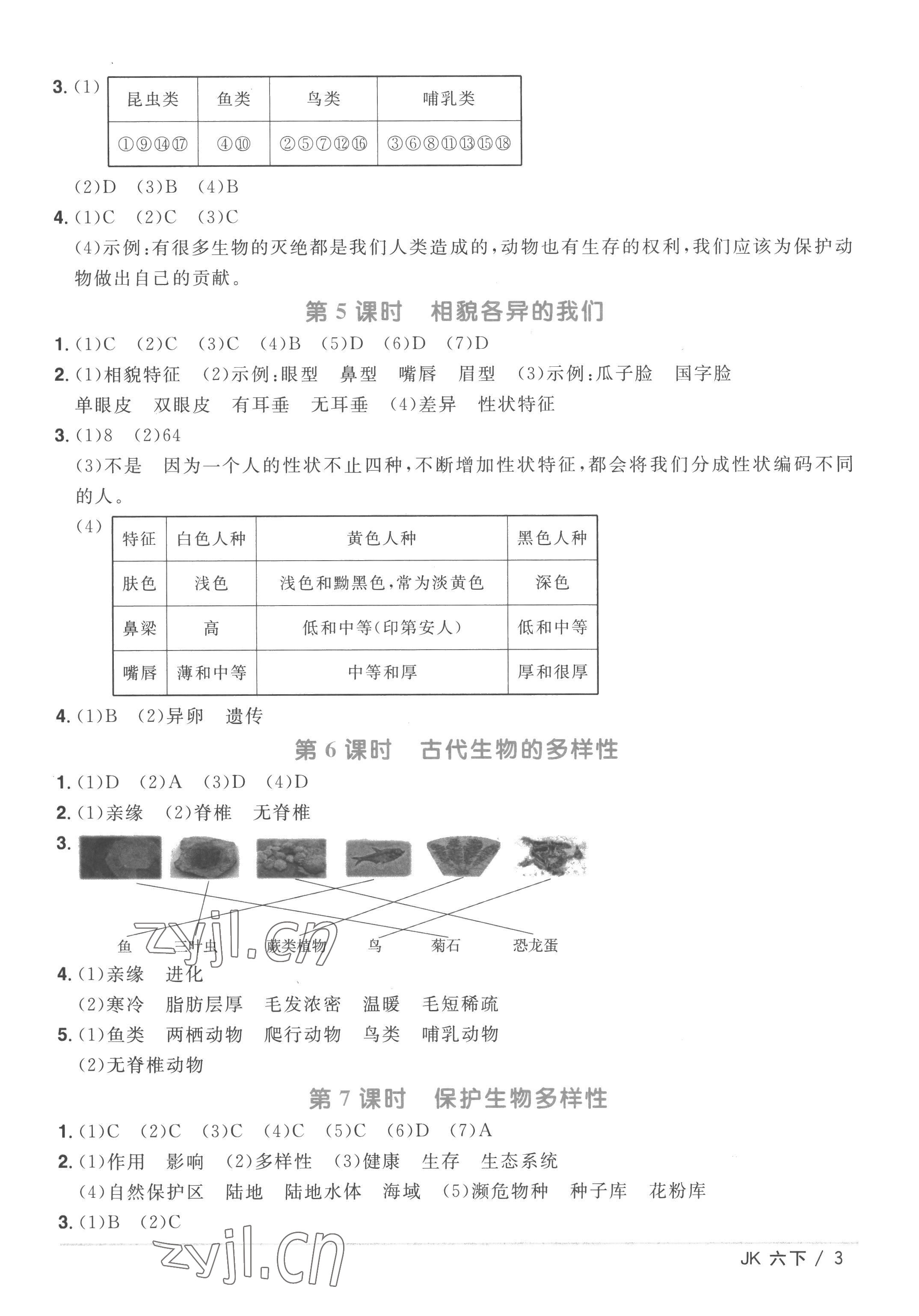 2023年阳光同学课时优化作业六年级科学下册教科版 第3页