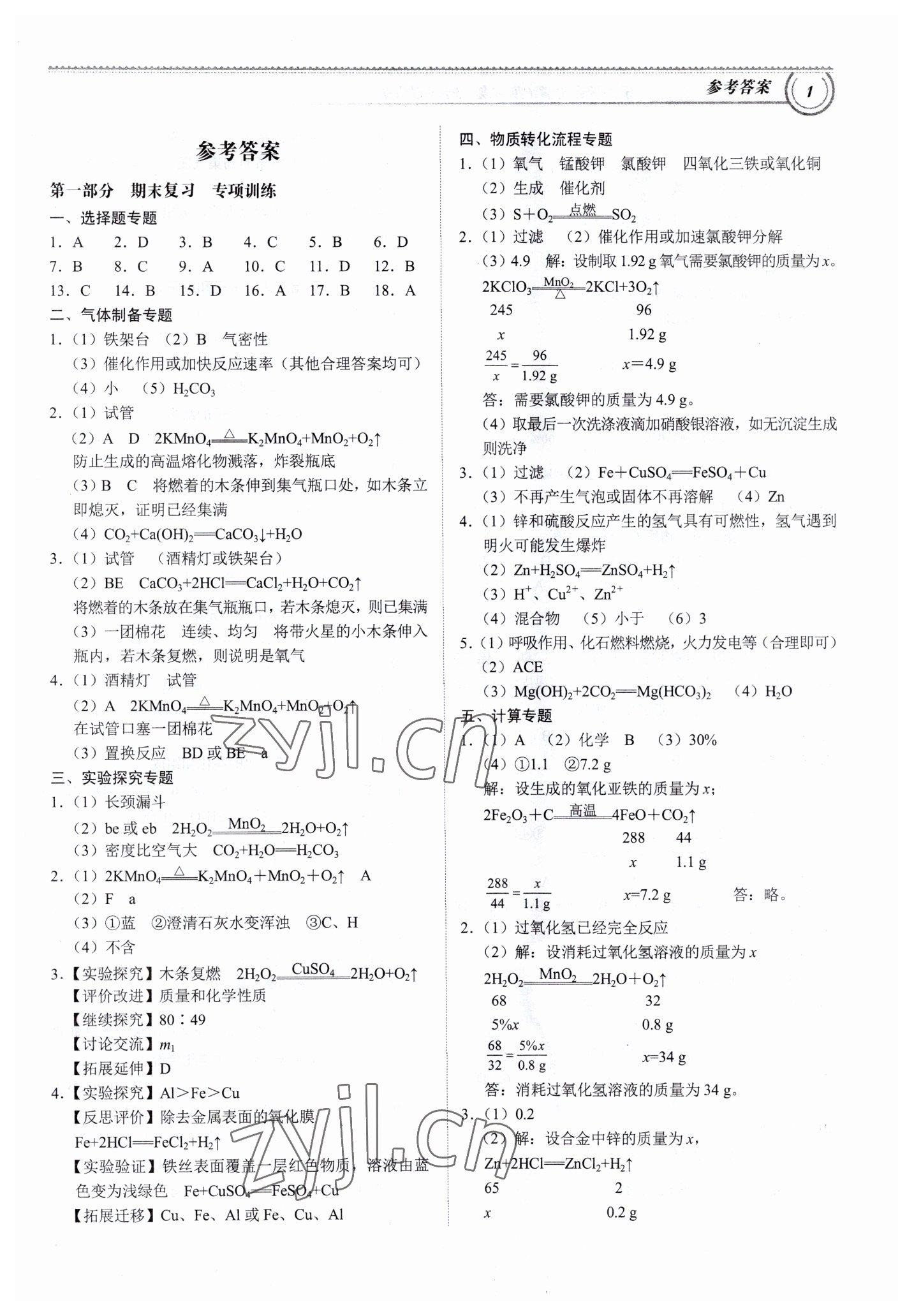 2023年导思学案期末复习寒假作业化学深圳专版 第1页