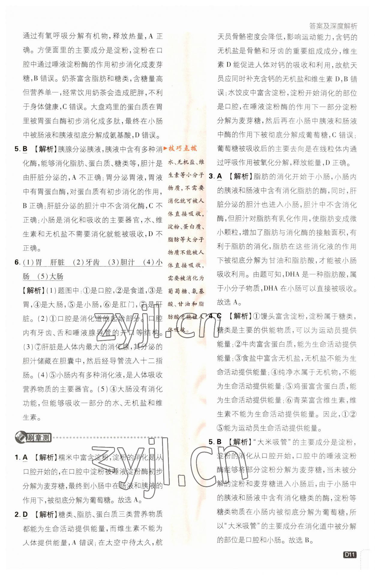 2023年初中必刷題七年級(jí)生物下冊(cè)人教版 參考答案第11頁(yè)