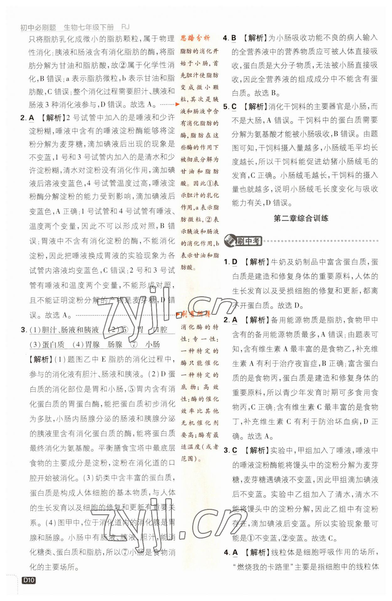 2023年初中必刷題七年級(jí)生物下冊(cè)人教版 參考答案第10頁(yè)