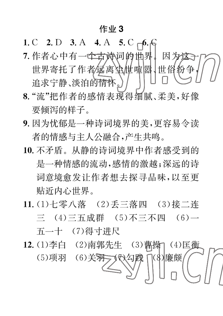 2023年长江寒假作业崇文书局九年级语文 参考答案第3页